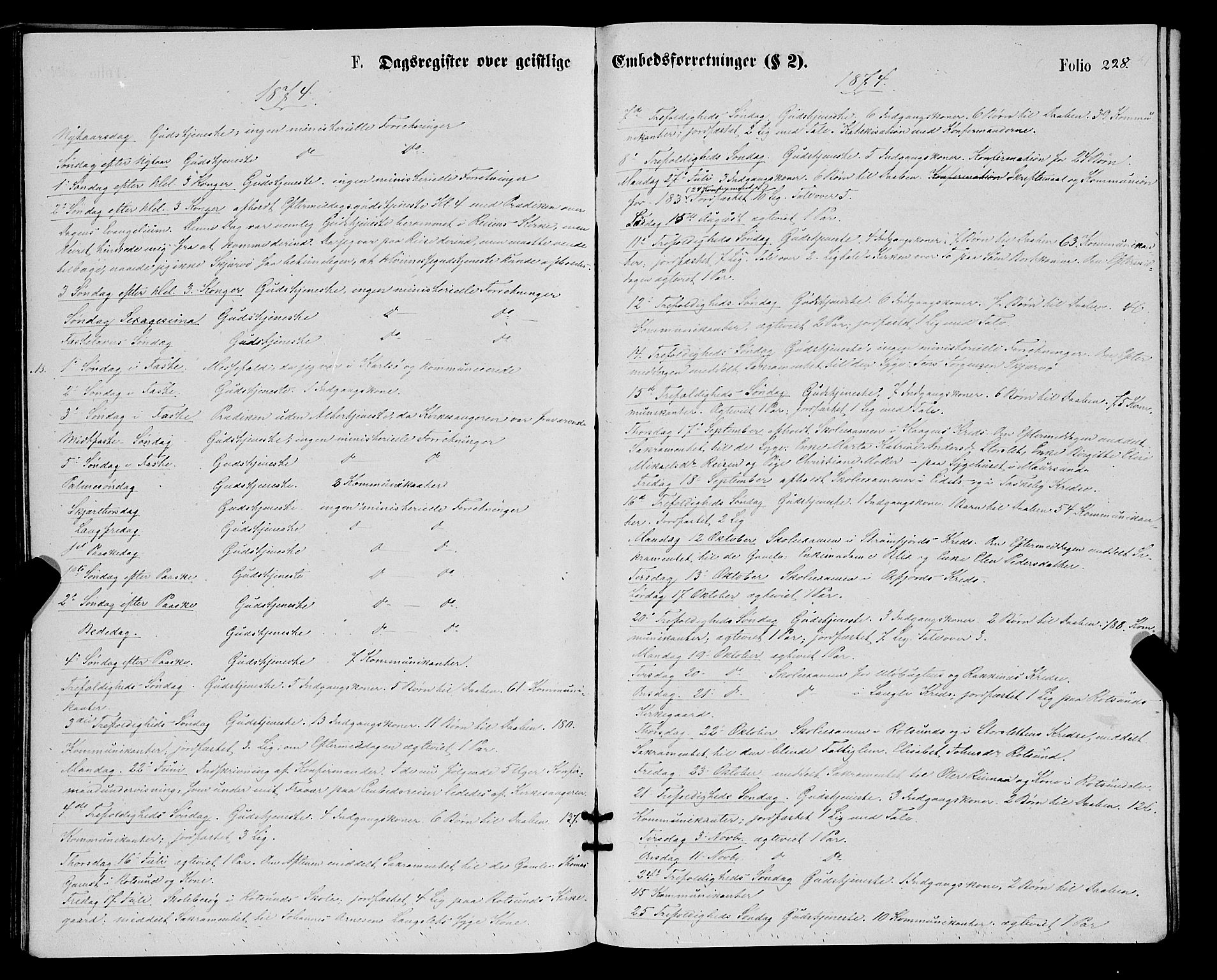 Skjervøy sokneprestkontor, AV/SATØ-S-1300/H/Ha/Haa/L0008kirke: Parish register (official) no. 8, 1871-1877, p. 228