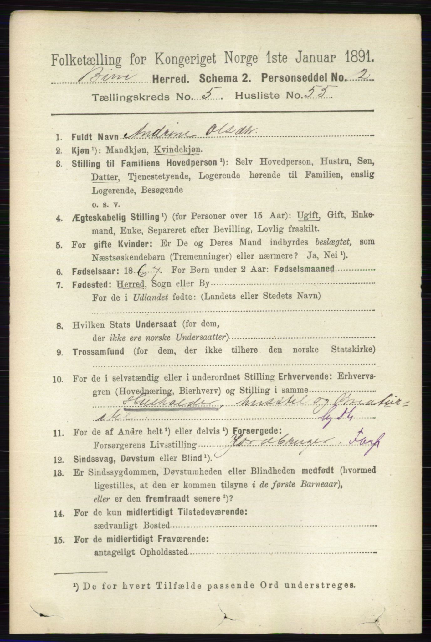 RA, 1891 census for 0525 Biri, 1891, p. 2078