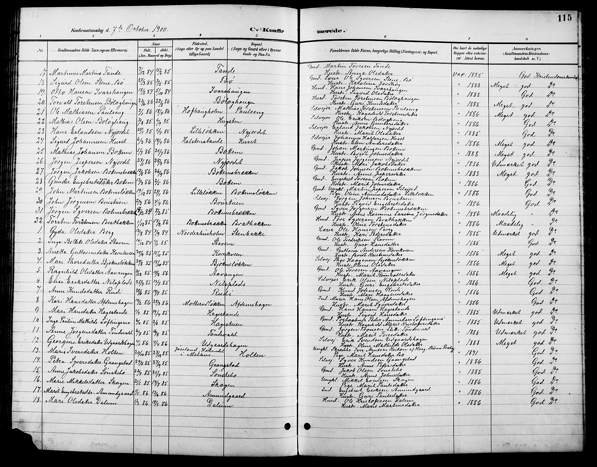 Lesja prestekontor, SAH/PREST-068/H/Ha/Hab/L0007: Parish register (copy) no. 7, 1895-1919, p. 115