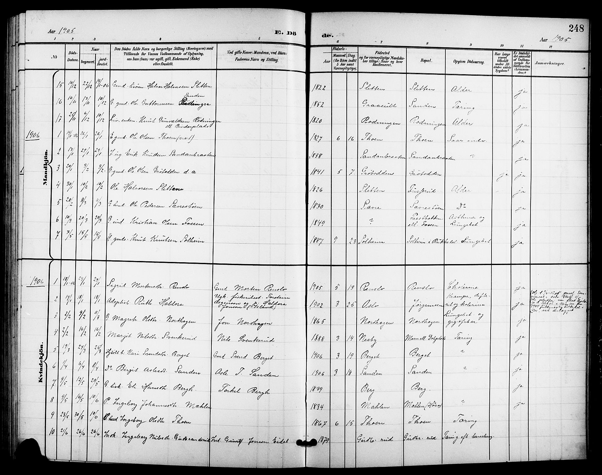 Nes kirkebøker, SAKO/A-236/G/Ga/L0004: Parish register (copy) no. I 4, 1900-1925, p. 248