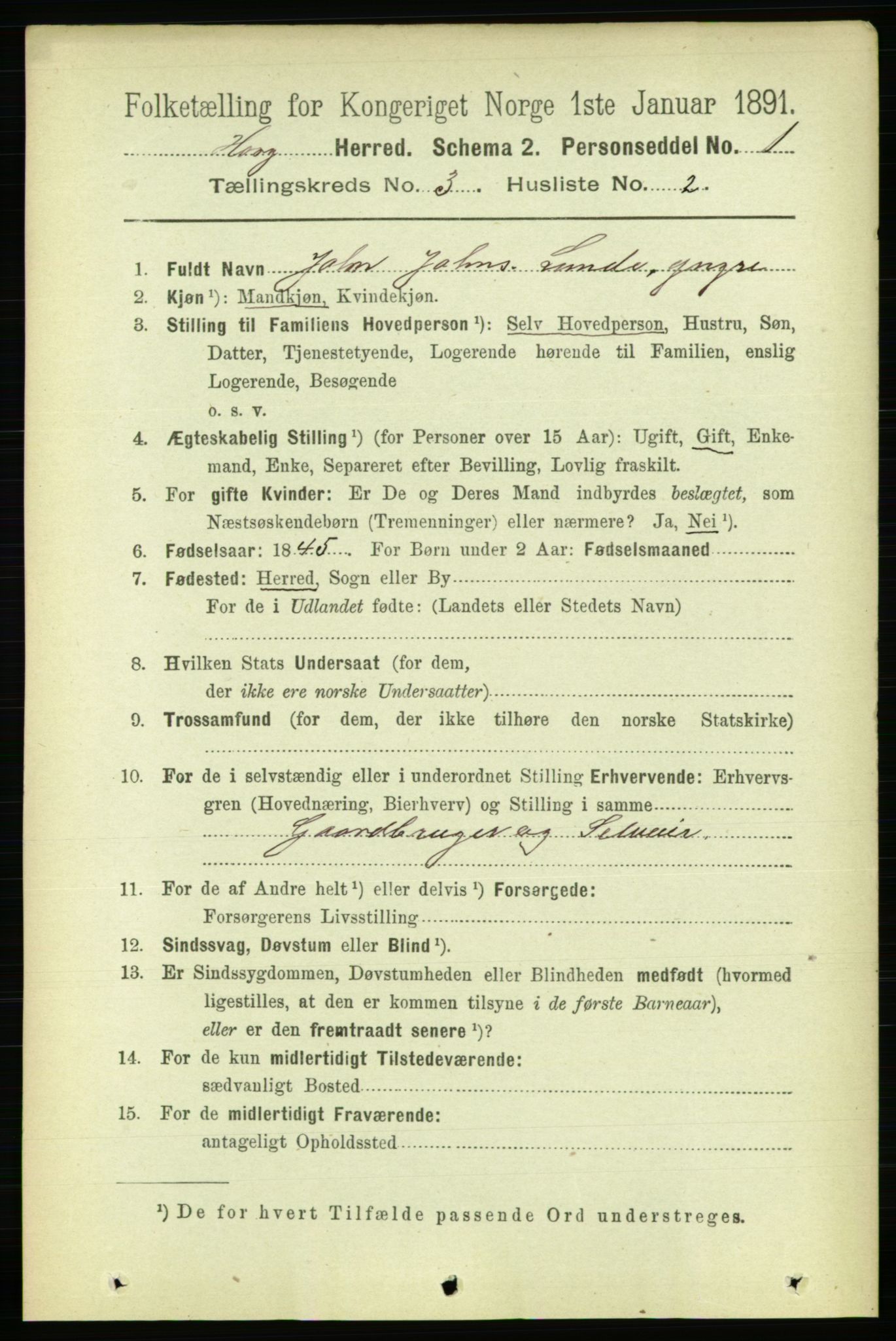 RA, 1891 census for 1650 Horg, 1891, p. 1118