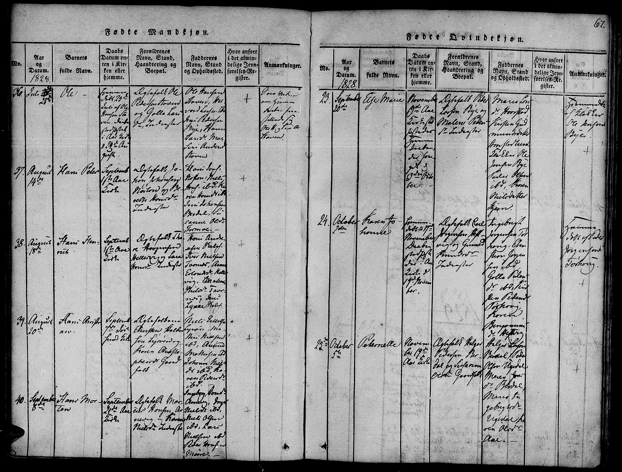 Ministerialprotokoller, klokkerbøker og fødselsregistre - Sør-Trøndelag, AV/SAT-A-1456/655/L0675: Parish register (official) no. 655A04, 1818-1830, p. 67