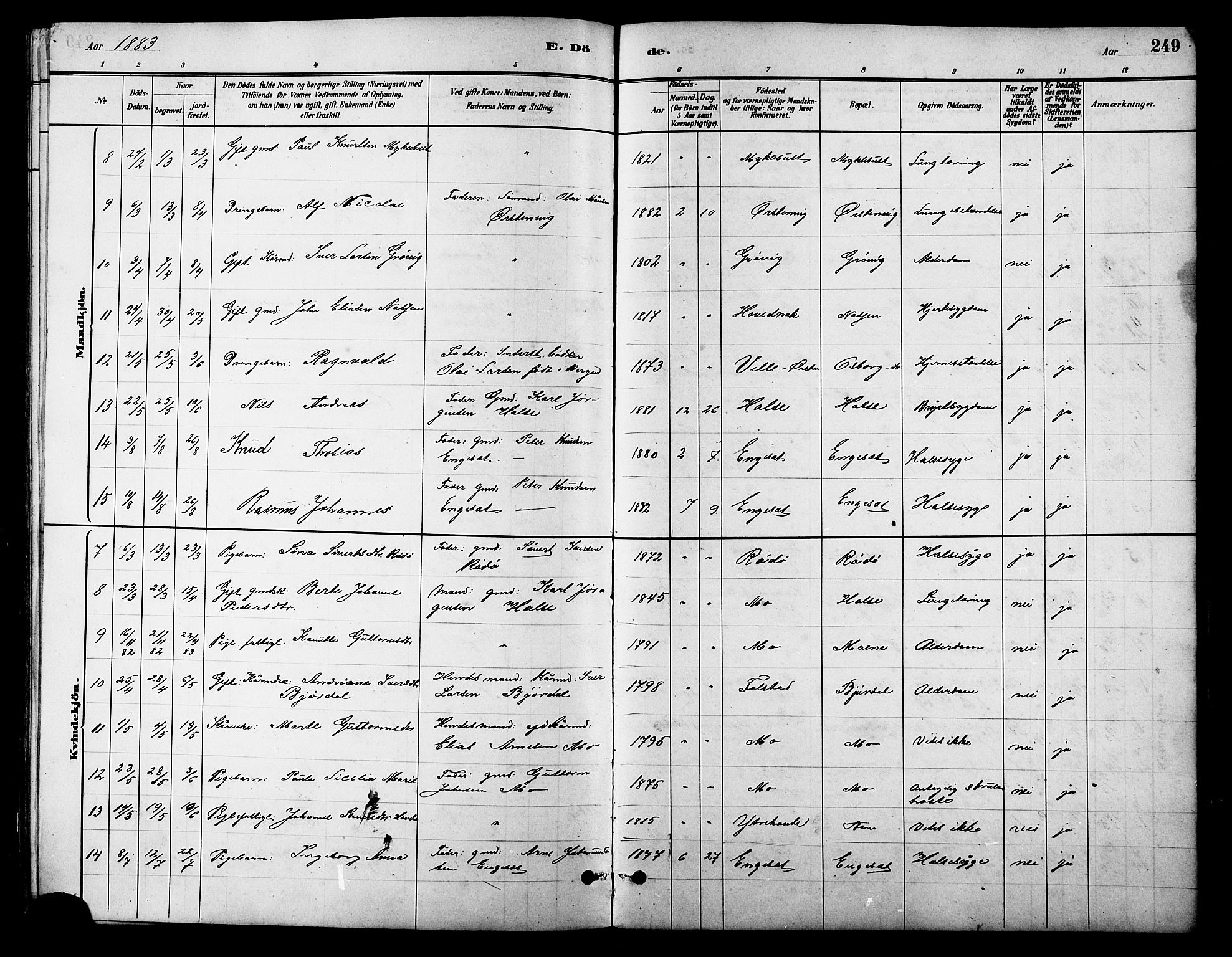 Ministerialprotokoller, klokkerbøker og fødselsregistre - Møre og Romsdal, AV/SAT-A-1454/513/L0189: Parish register (copy) no. 513C03, 1883-1904, p. 249