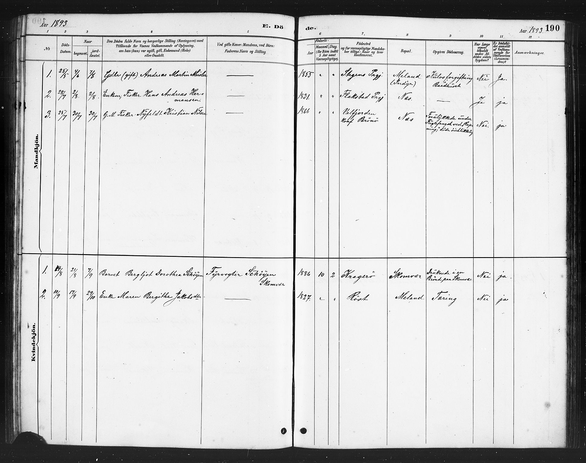 Ministerialprotokoller, klokkerbøker og fødselsregistre - Nordland, AV/SAT-A-1459/808/L0131: Parish register (copy) no. 808C02, 1879-1919, p. 190