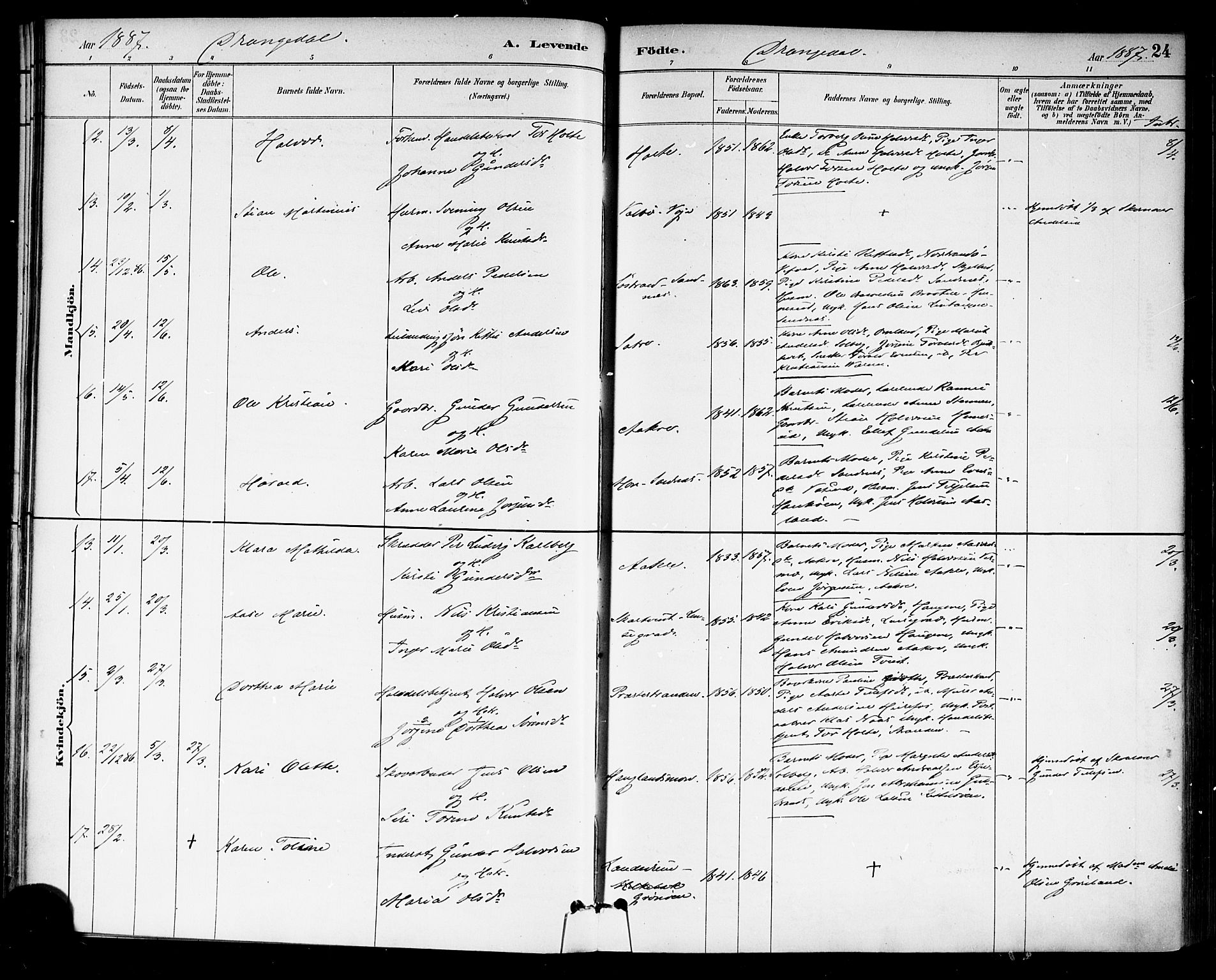 Drangedal kirkebøker, SAKO/A-258/F/Fa/L0010: Parish register (official) no. 10 /1, 1885-1894, p. 24