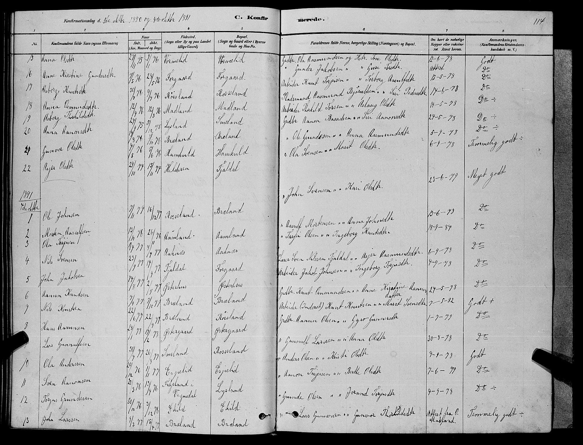 Åseral sokneprestkontor, AV/SAK-1111-0051/F/Fb/L0002: Parish register (copy) no. B 2, 1878-1899, p. 114