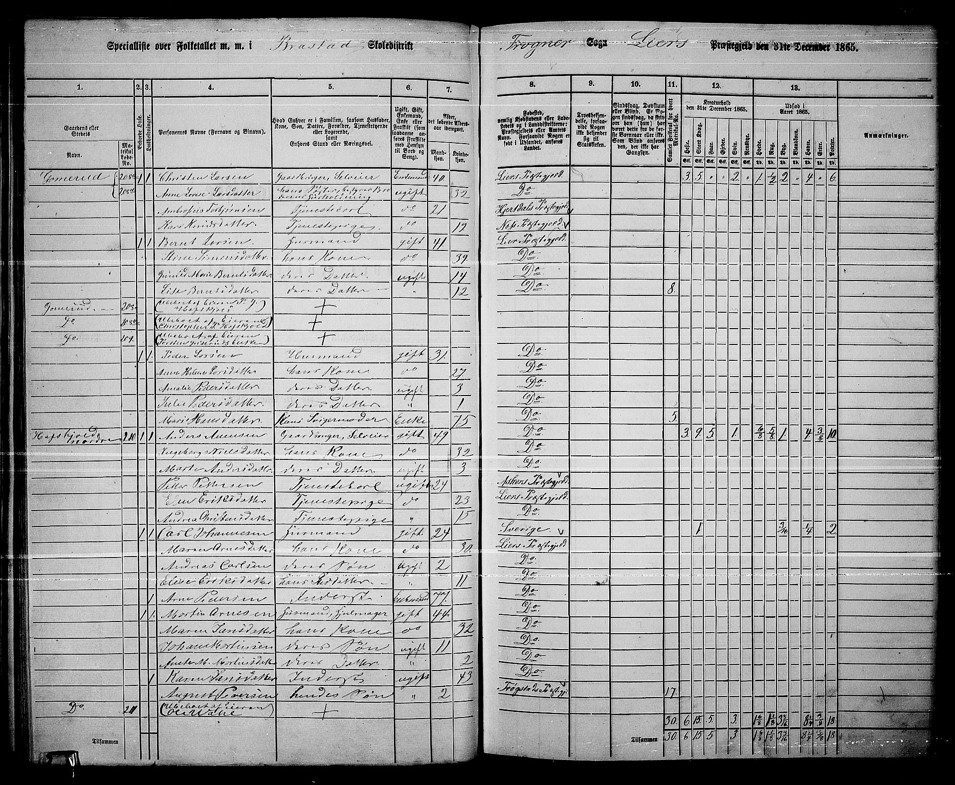 RA, 1865 census for Lier, 1865, p. 128