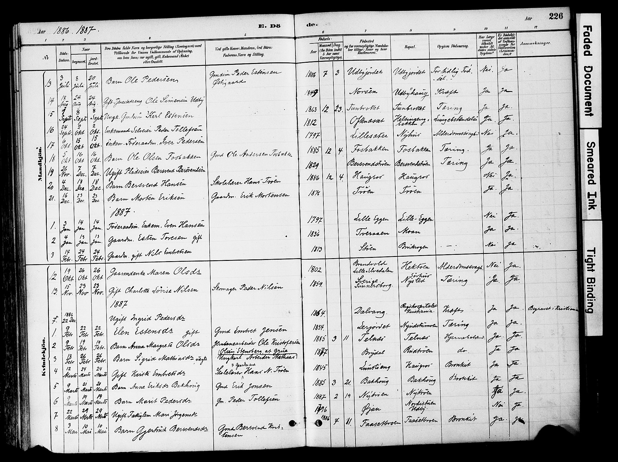 Tynset prestekontor, SAH/PREST-058/H/Ha/Haa/L0022: Parish register (official) no. 22, 1880-1899, p. 226