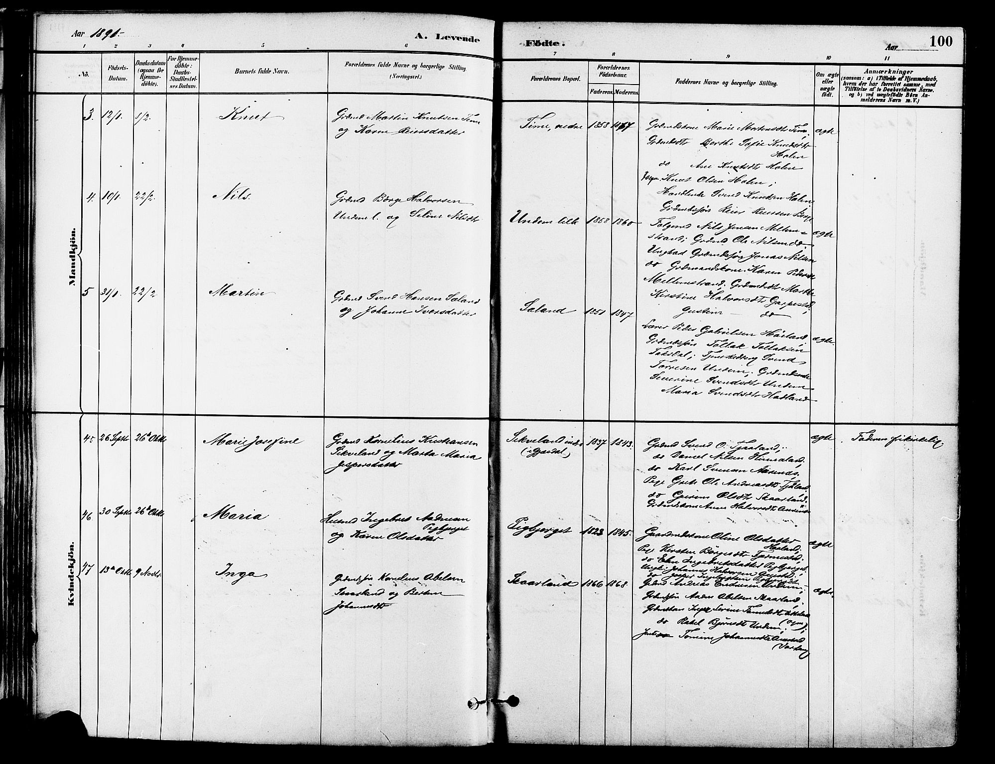 Lye sokneprestkontor, AV/SAST-A-101794/001/30BA/L0009: Parish register (official) no. A 8, 1881-1892, p. 100