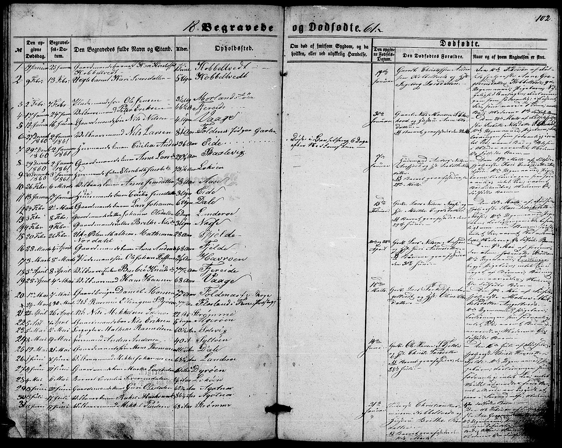 Fjell sokneprestembete, AV/SAB-A-75301/H/Hab: Parish register (copy) no. A 1, 1861-1870, p. 102