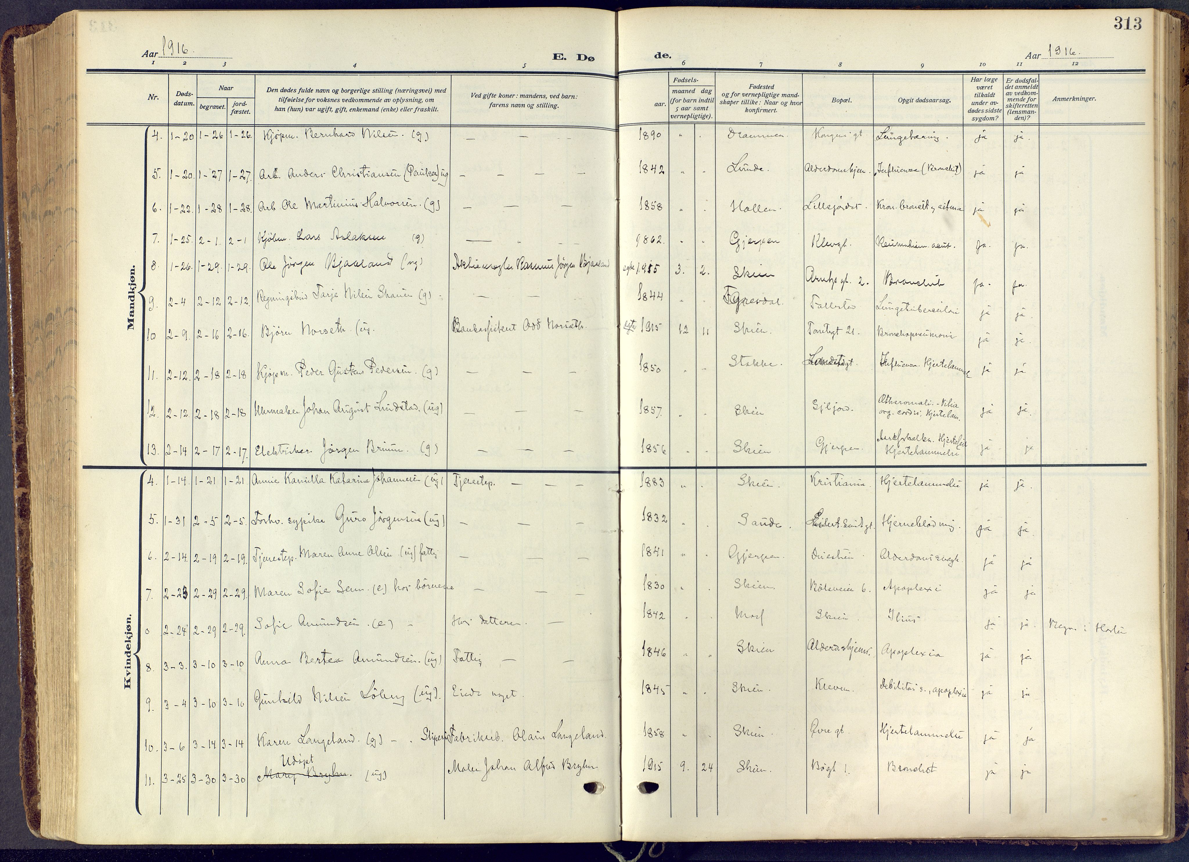 Skien kirkebøker, SAKO/A-302/F/Fa/L0013: Parish register (official) no. 13, 1915-1921, p. 313