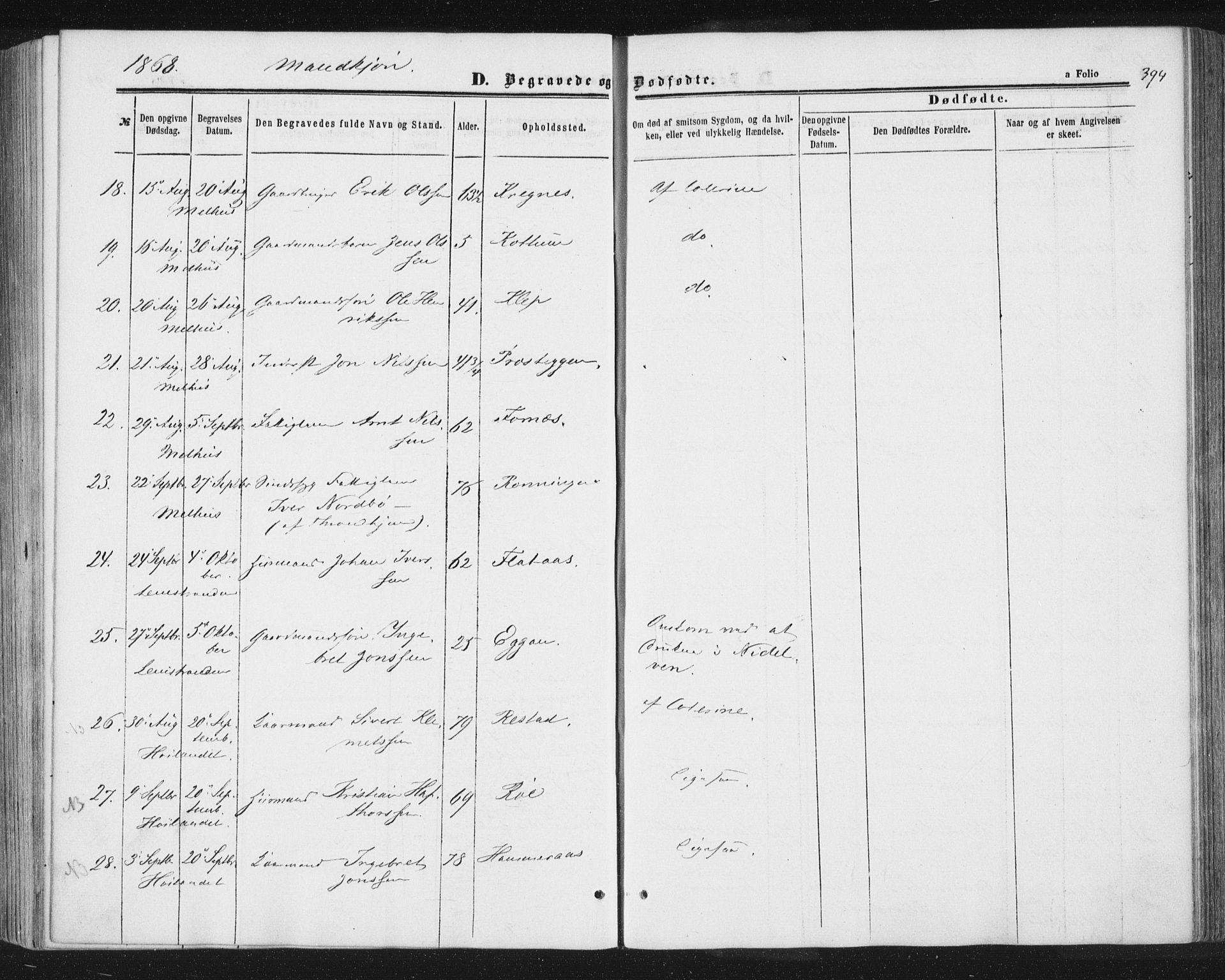 Ministerialprotokoller, klokkerbøker og fødselsregistre - Sør-Trøndelag, AV/SAT-A-1456/691/L1077: Parish register (official) no. 691A09, 1862-1873, p. 394