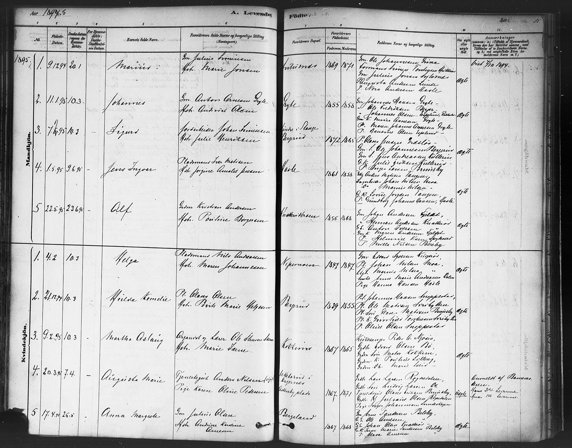 Varteig prestekontor Kirkebøker, SAO/A-10447a/F/Fa/L0002: Parish register (official) no. 2, 1878-1899, p. 55