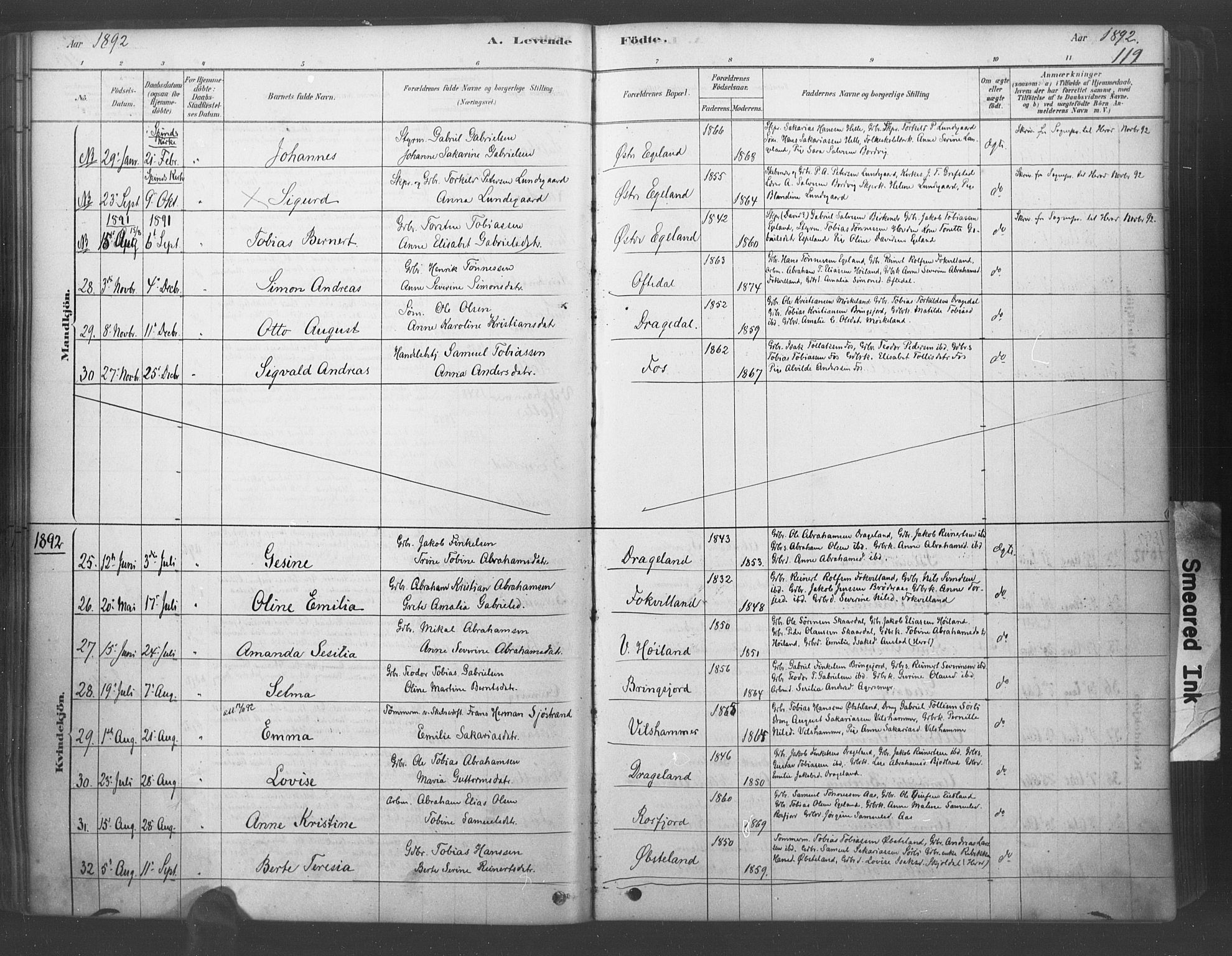 Lyngdal sokneprestkontor, AV/SAK-1111-0029/F/Fa/Fac/L0011: Parish register (official) no. A 11, 1878-1893, p. 119