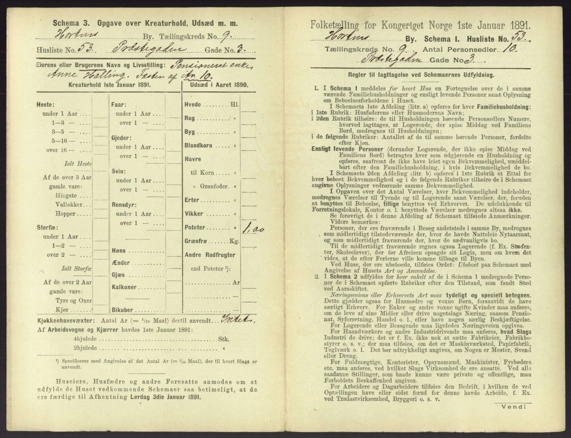 RA, 1891 census for 0703 Horten, 1891, p. 1037