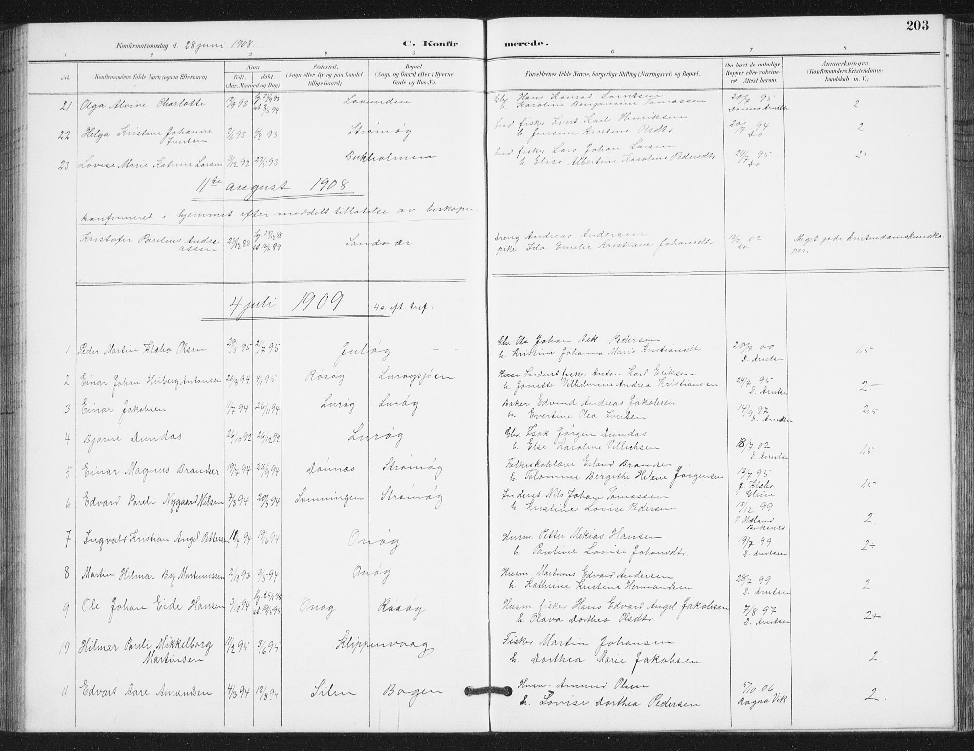 Ministerialprotokoller, klokkerbøker og fødselsregistre - Nordland, SAT/A-1459/839/L0573: Parish register (copy) no. 839C03, 1892-1917, p. 203