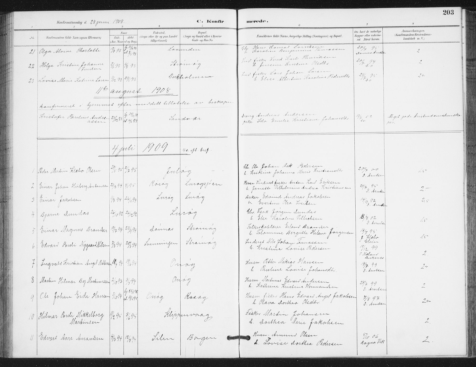 Ministerialprotokoller, klokkerbøker og fødselsregistre - Nordland, AV/SAT-A-1459/839/L0573: Parish register (copy) no. 839C03, 1892-1917, p. 203