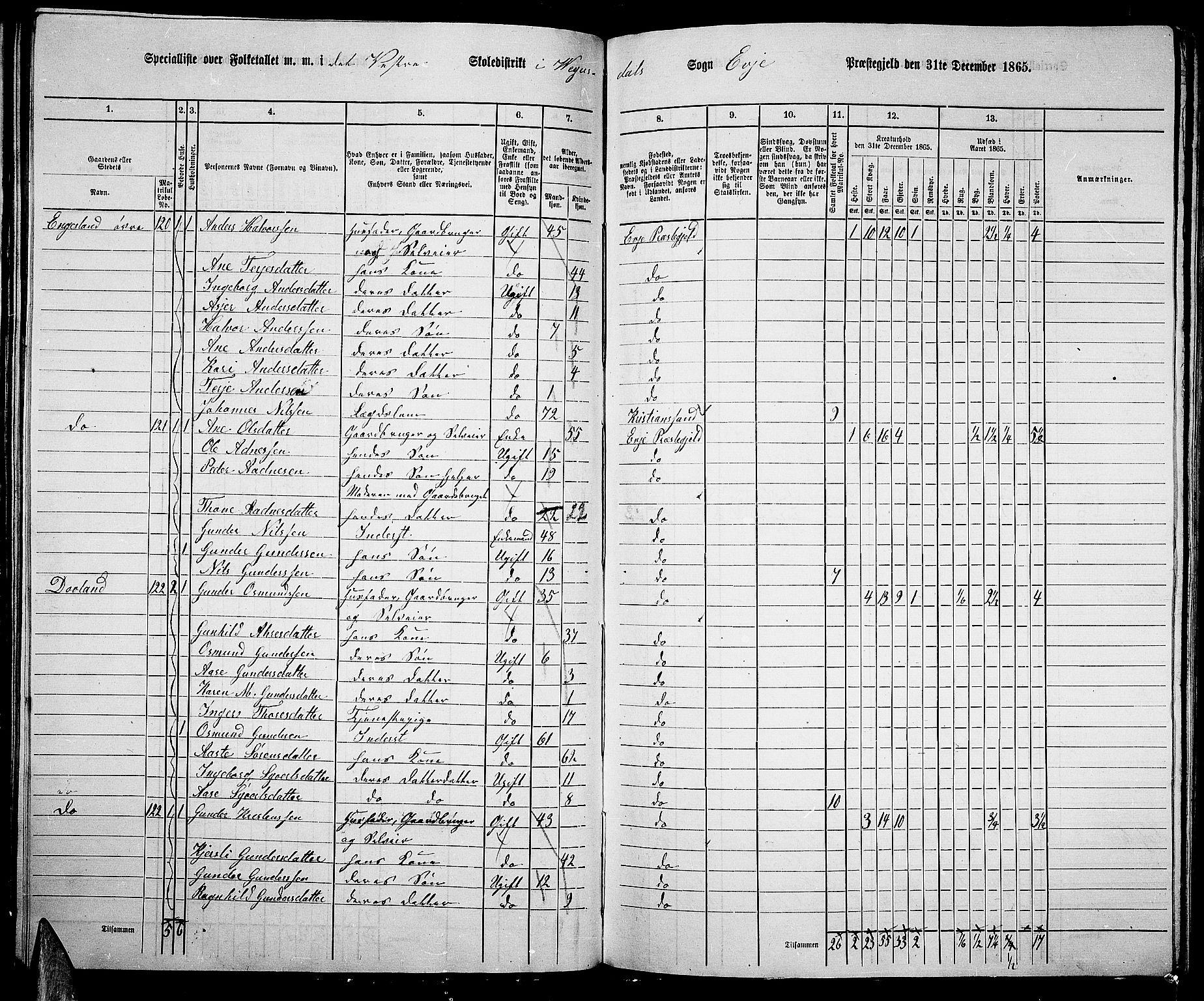 RA, 1865 census for Evje, 1865, p. 69