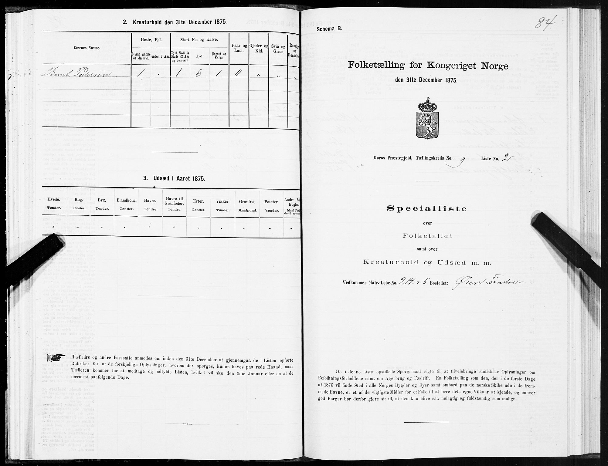 SAT, 1875 census for 1640P Røros, 1875, p. 5084