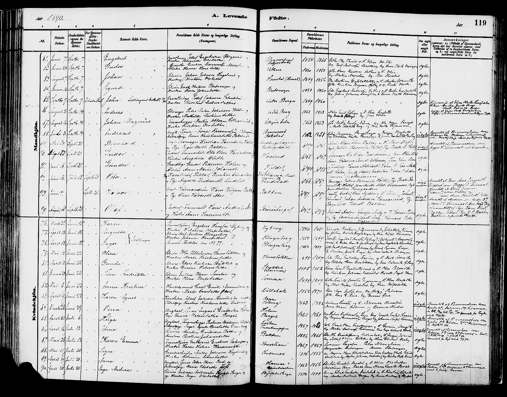 Elverum prestekontor, SAH/PREST-044/H/Ha/Haa/L0013: Parish register (official) no. 13, 1880-1890, p. 119