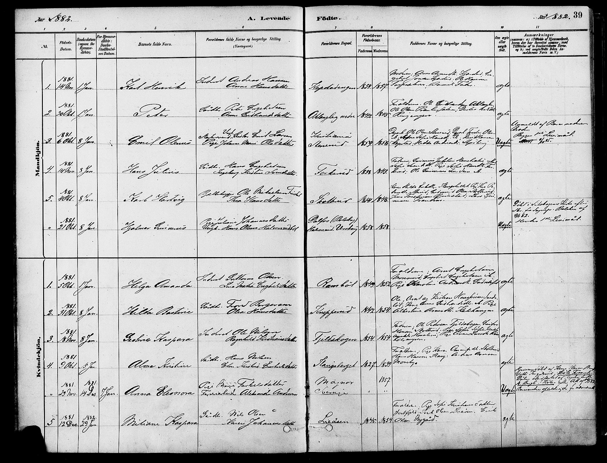 Eidskog prestekontor, SAH/PREST-026/H/Ha/Haa/L0003: Parish register (official) no. 3, 1879-1892, p. 39