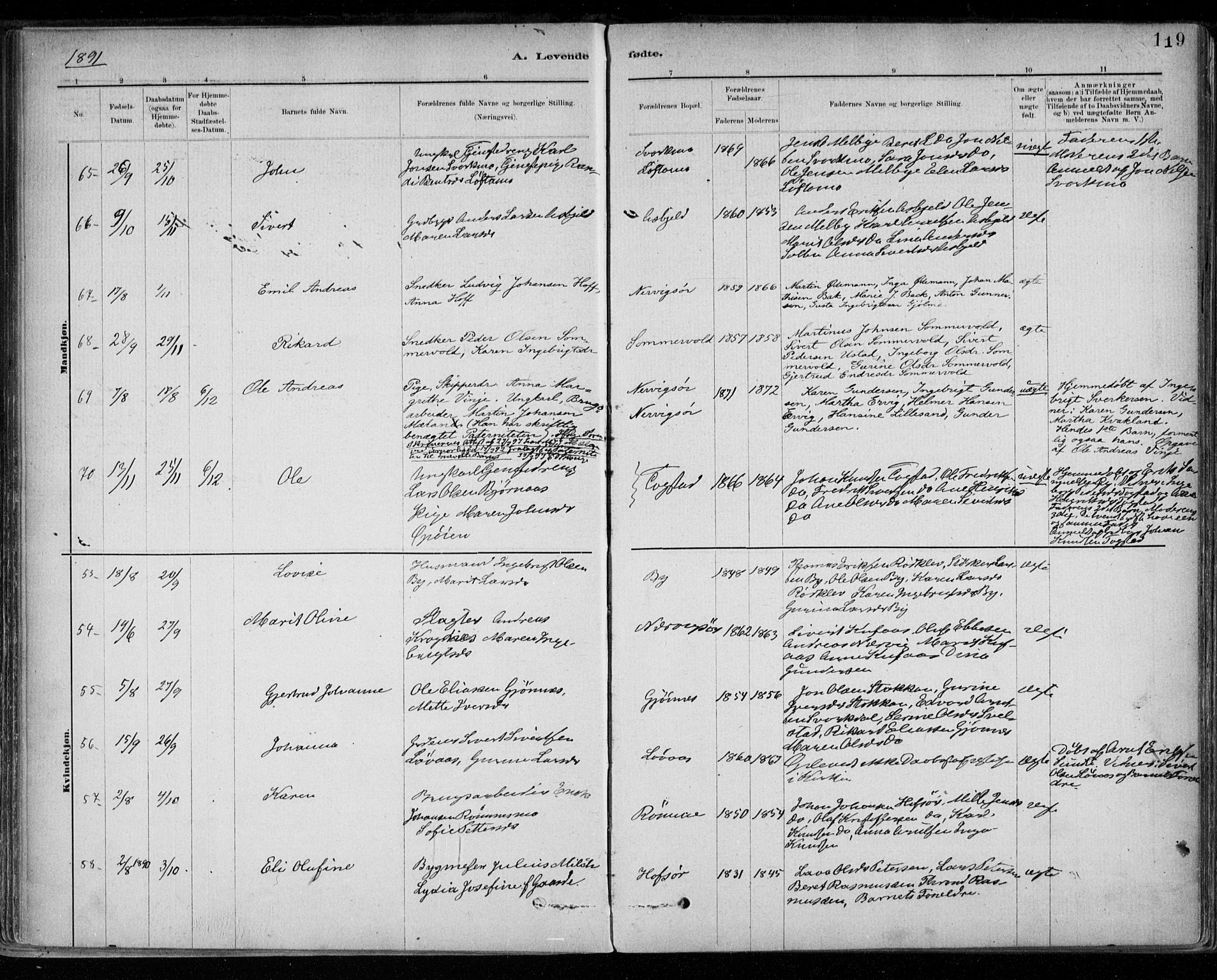 Ministerialprotokoller, klokkerbøker og fødselsregistre - Sør-Trøndelag, SAT/A-1456/668/L0809: Parish register (official) no. 668A09, 1881-1895, p. 119