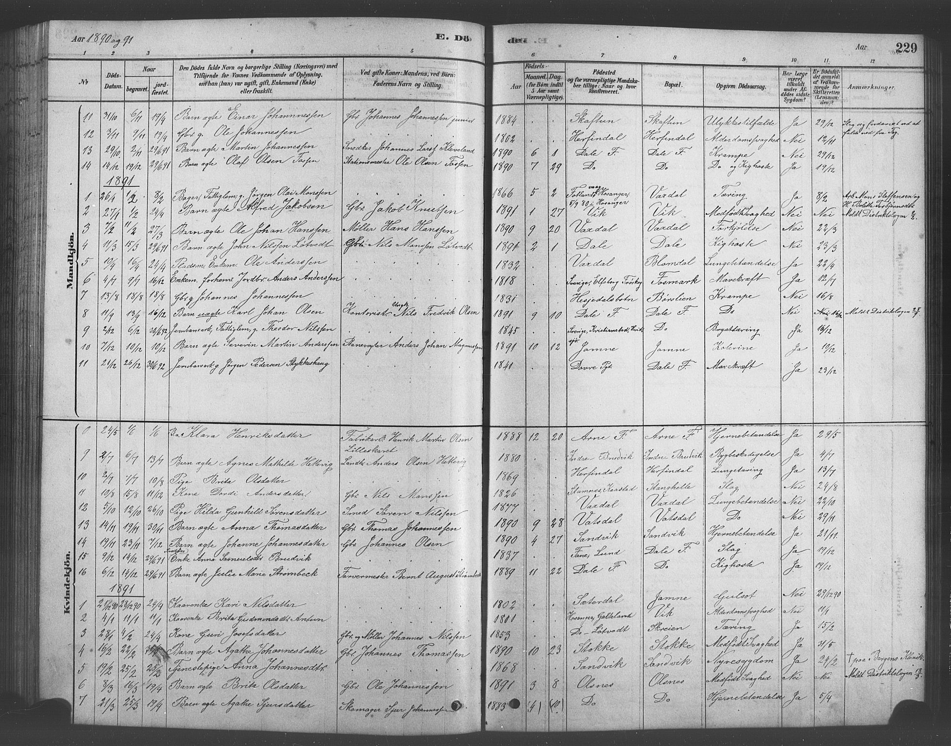 Bruvik Sokneprestembete, SAB/A-74701/H/Hab: Parish register (copy) no. A 1, 1878-1907, p. 229