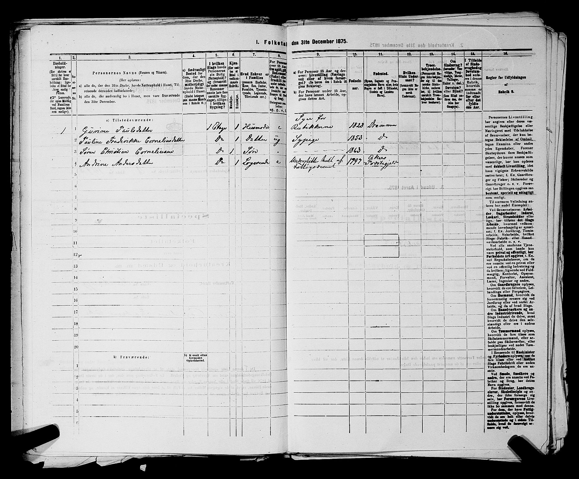 SAKO, 1875 census for 0602 Drammen, 1875, p. 2116