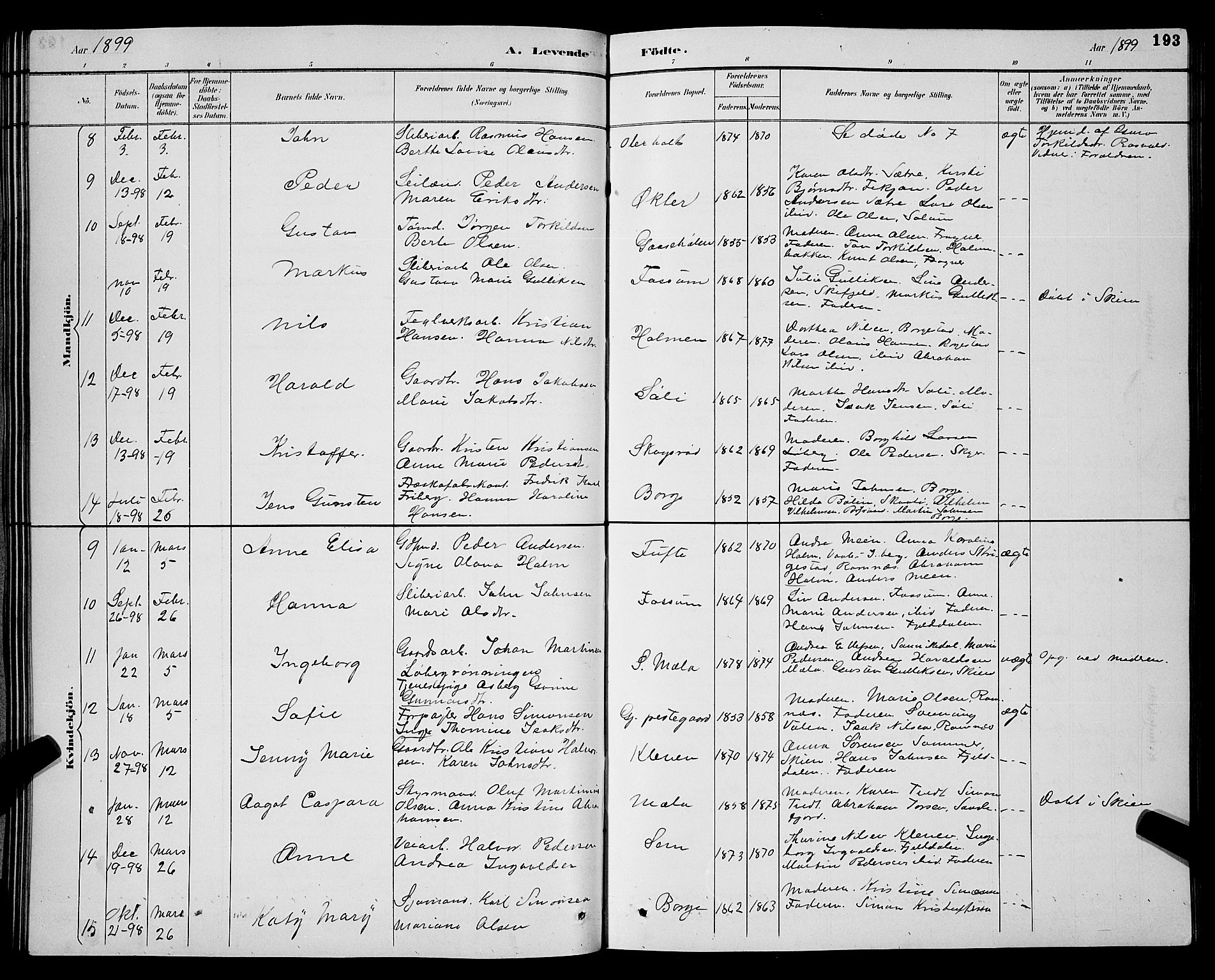 Gjerpen kirkebøker, SAKO/A-265/G/Ga/L0002: Parish register (copy) no. I 2, 1883-1900, p. 193
