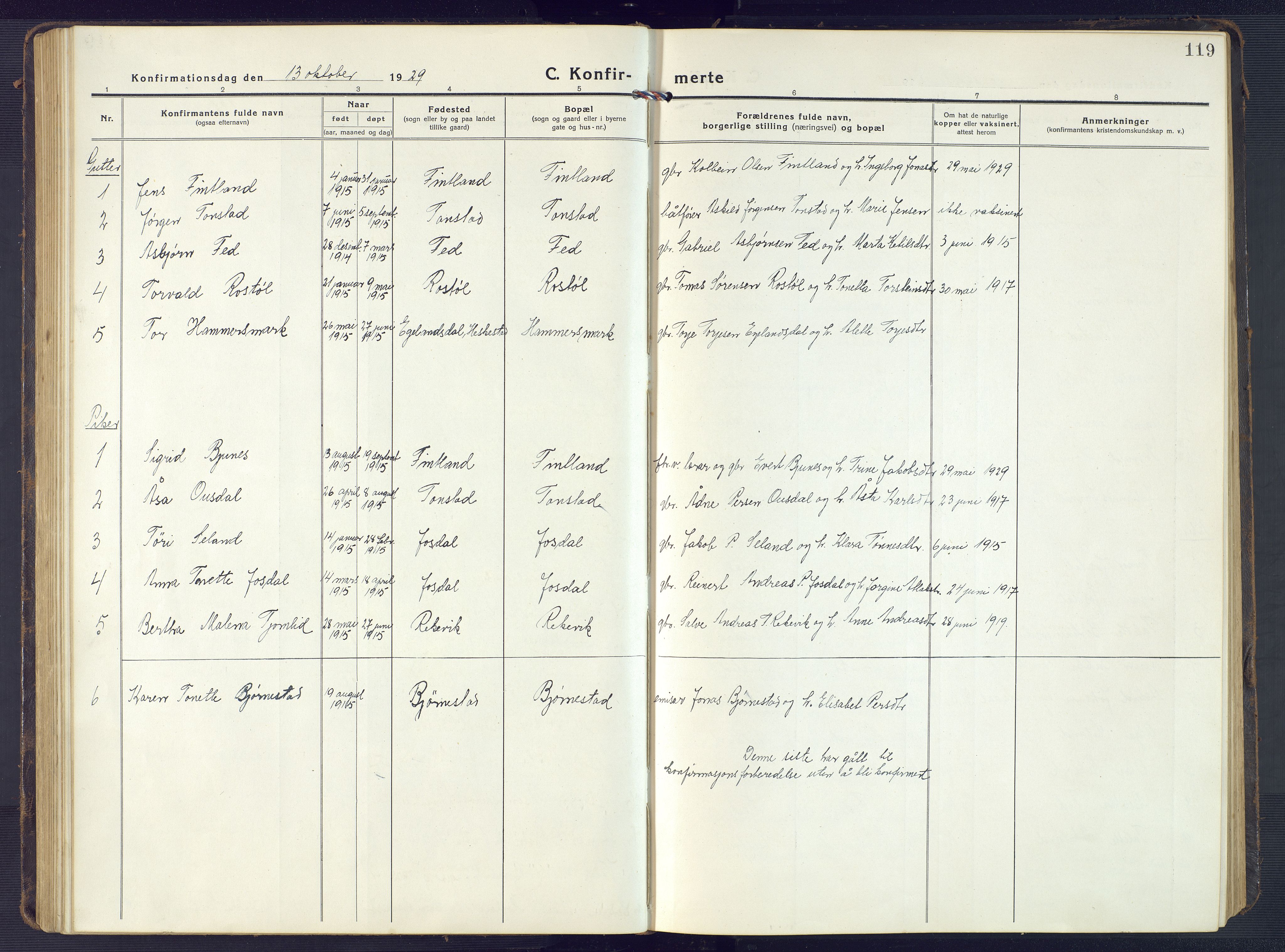 Sirdal sokneprestkontor, SAK/1111-0036/F/Fb/Fbb/L0005: Parish register (copy) no. B 5, 1916-1960, p. 119