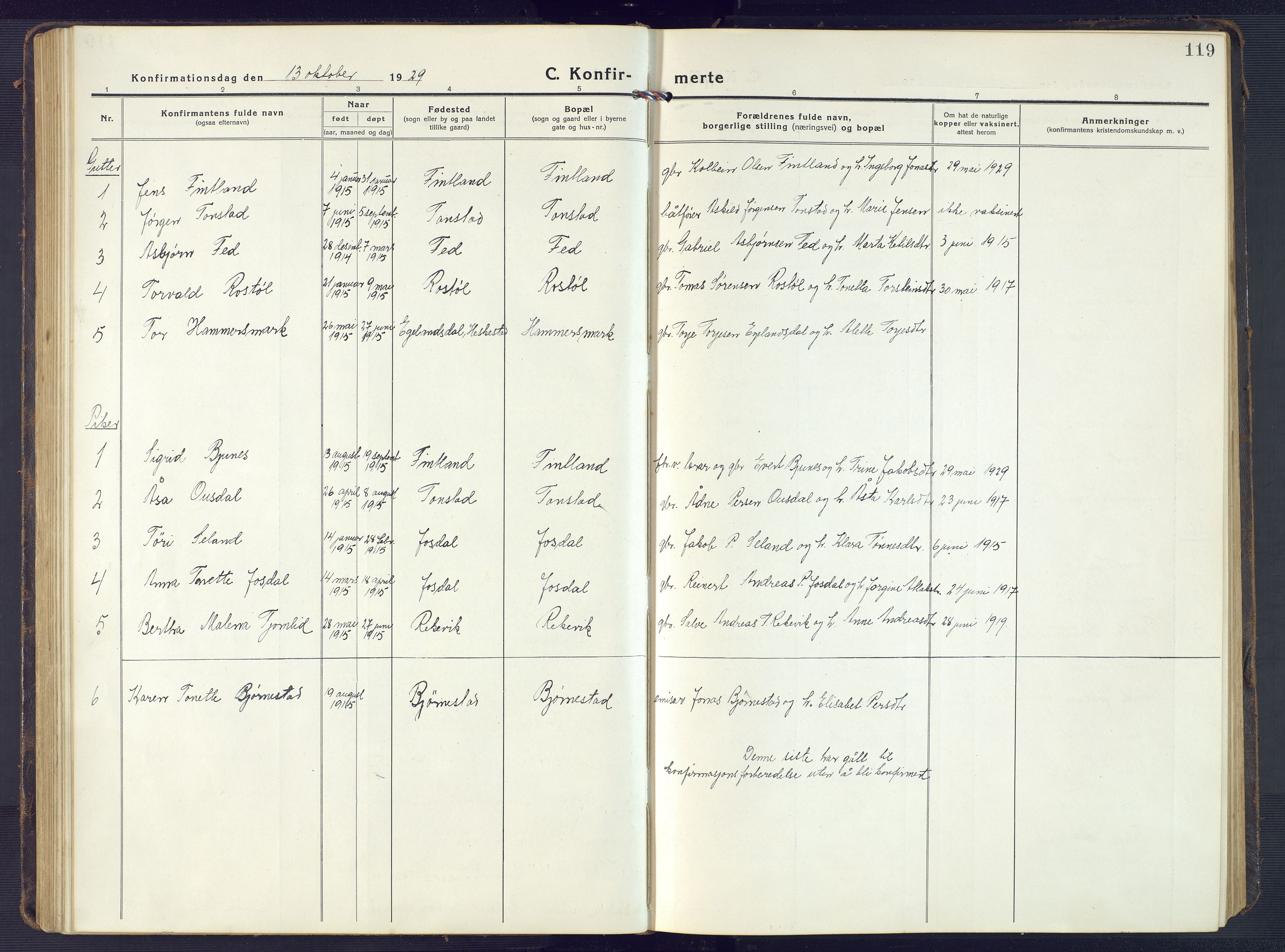 Sirdal sokneprestkontor, AV/SAK-1111-0036/F/Fb/Fbb/L0005: Parish register (copy) no. B 5, 1916-1960, p. 119