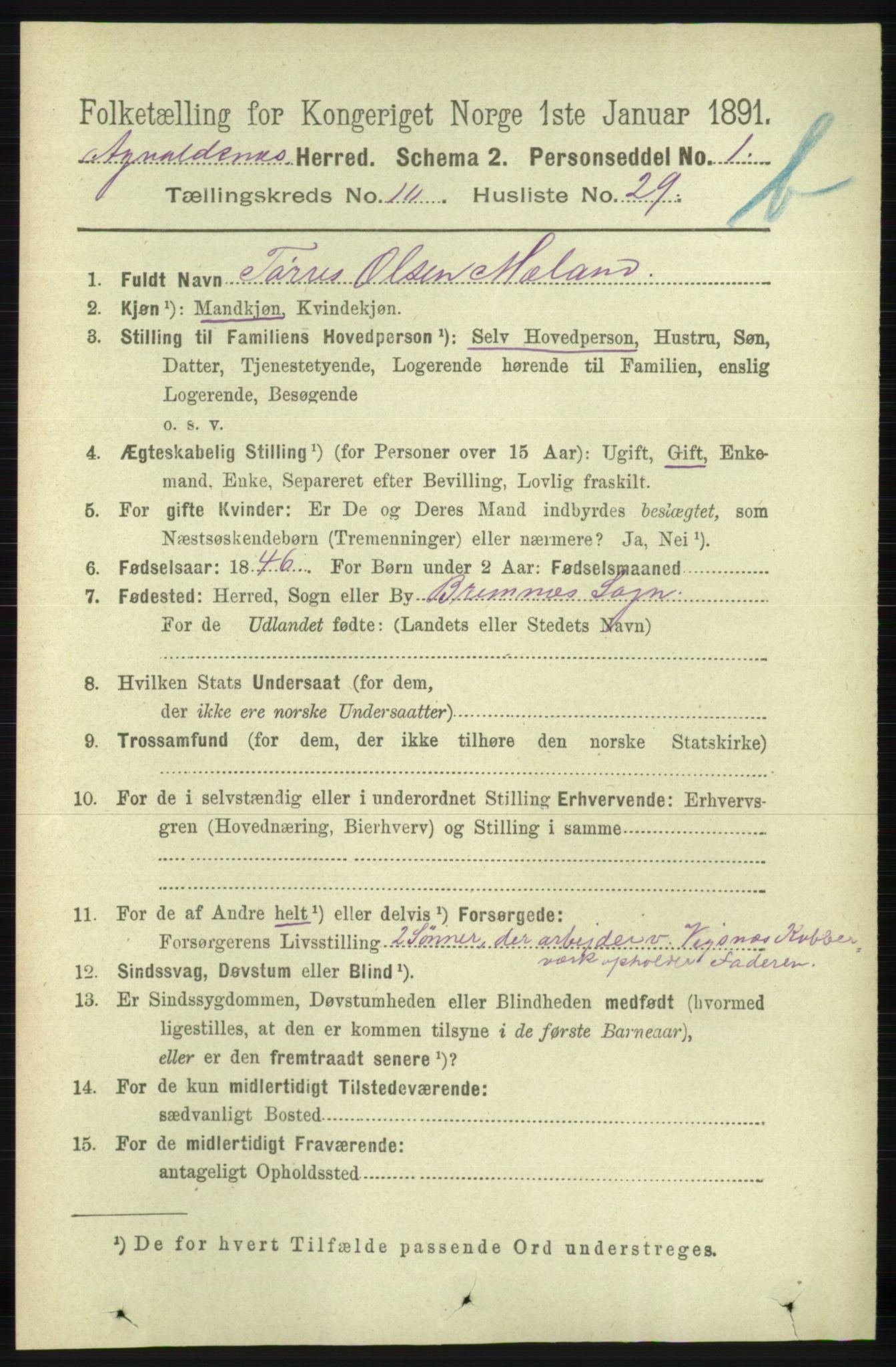 RA, 1891 census for 1147 Avaldsnes, 1891, p. 6125