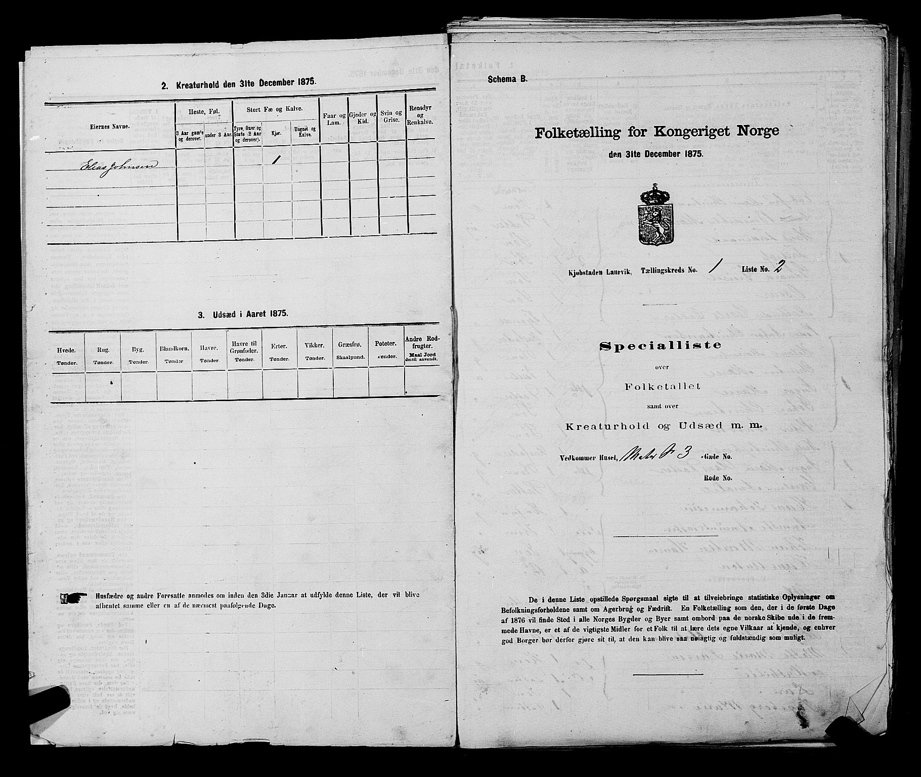 SAKO, 1875 census for 0707P Larvik, 1875, p. 30