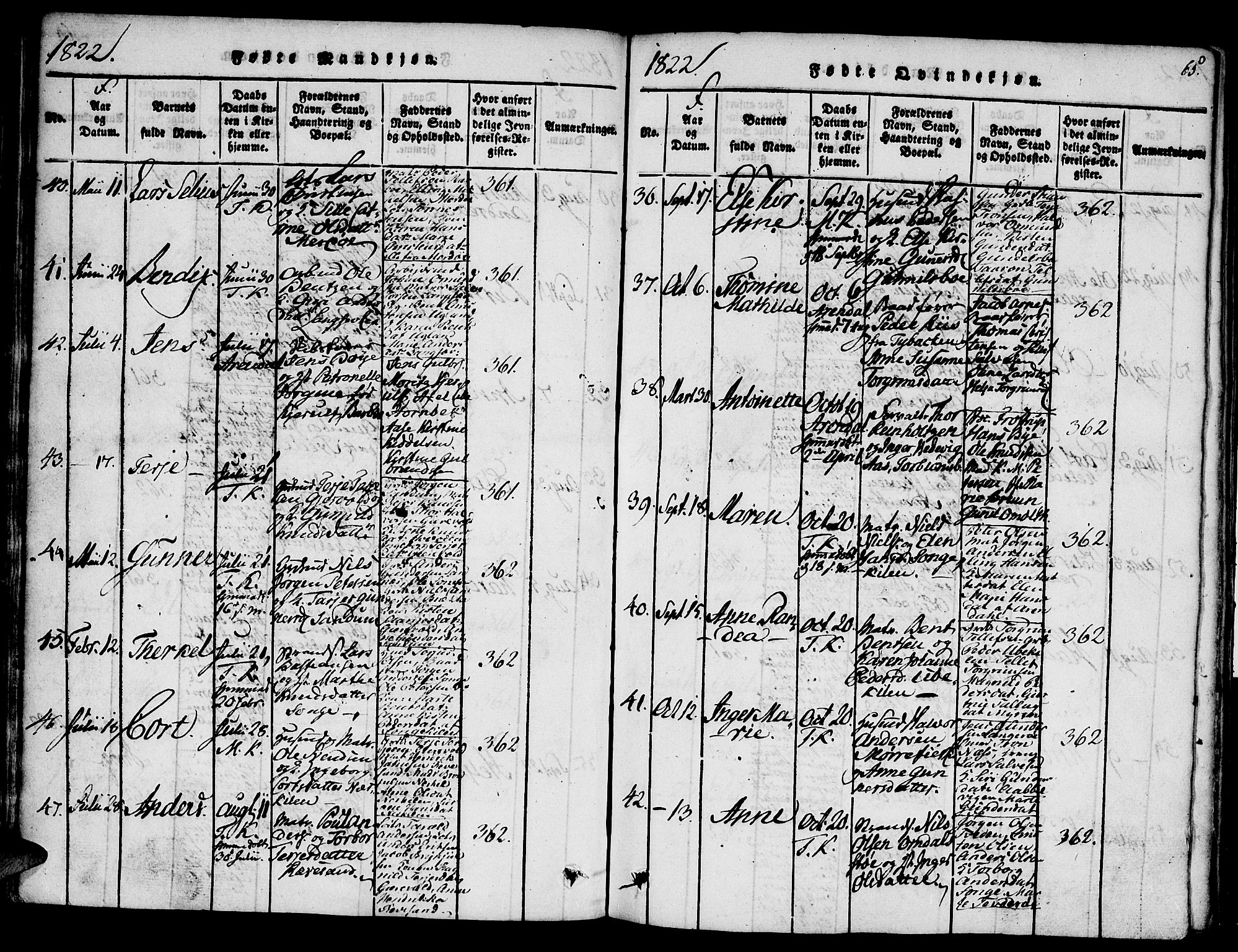 Austre Moland sokneprestkontor, AV/SAK-1111-0001/F/Fa/Faa/L0004: Parish register (official) no. A 4, 1816-1824, p. 65