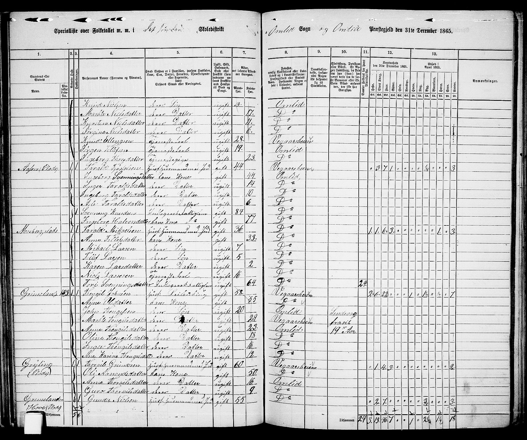 RA, 1865 census for Åmli, 1865, p. 57