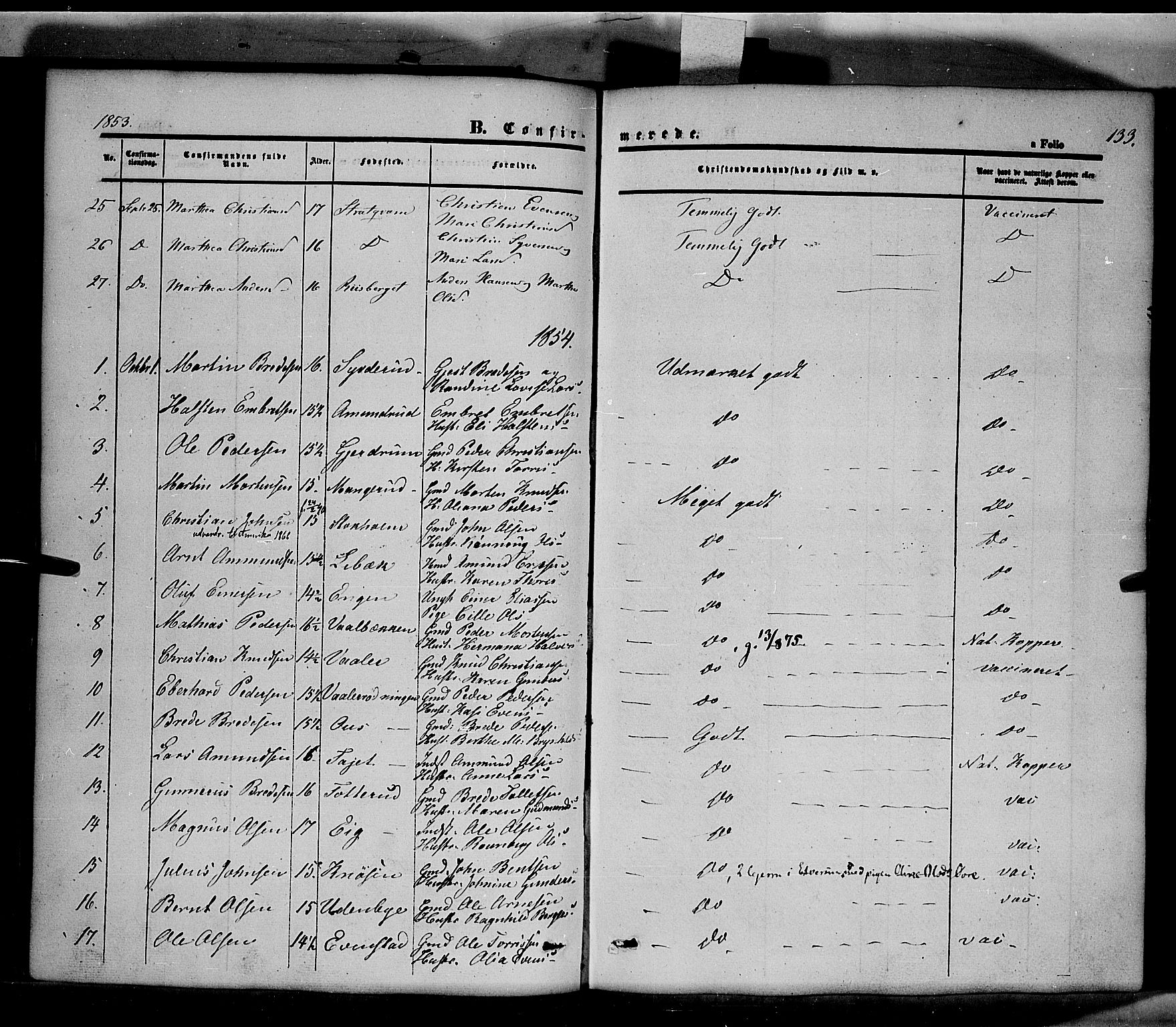 Våler prestekontor, Hedmark, SAH/PREST-040/H/Ha/Haa/L0001: Parish register (official) no. 1, 1849-1878, p. 133