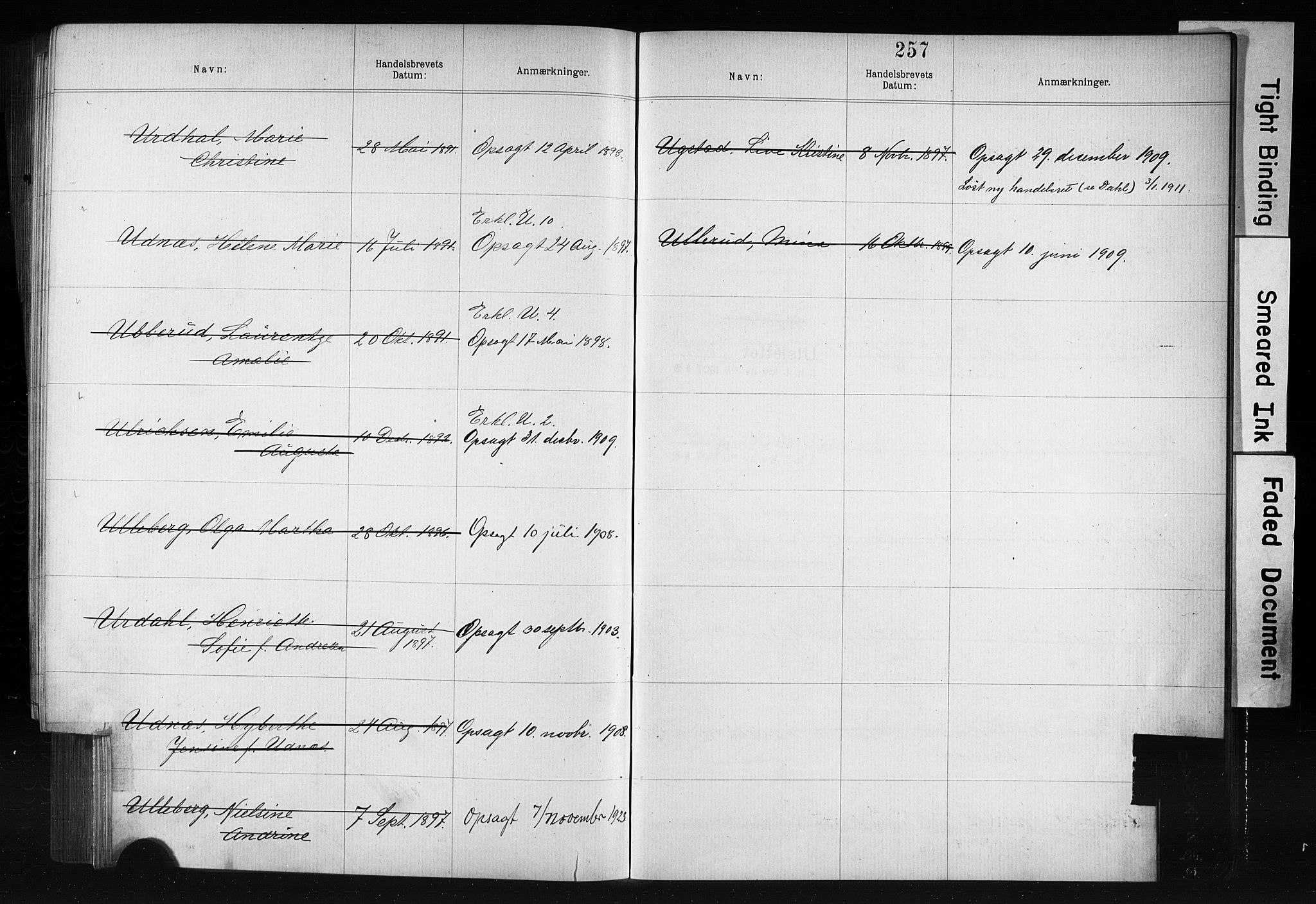 Kristiania magistrat, SAO/A-10711/F/Fb/L0006: Borgerrulle, 1879-1899, p. 221