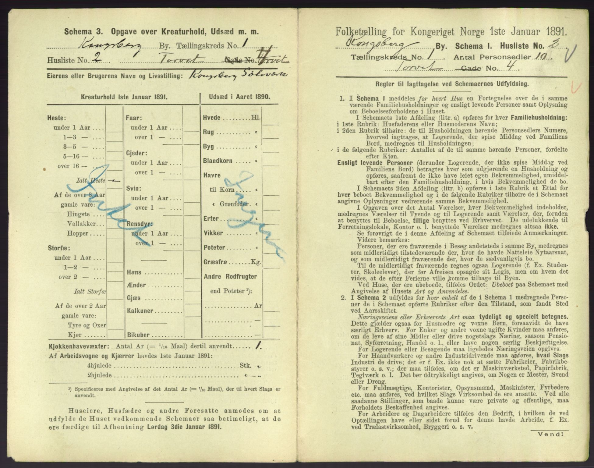 RA, 1891 census for 0604 Kongsberg, 1891, p. 31