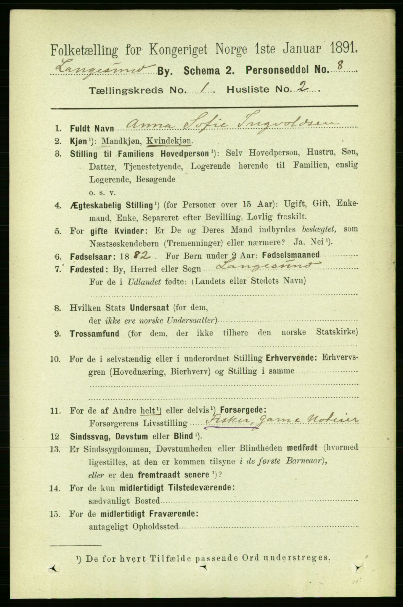 RA, 1891 census for 0802 Langesund, 1891, p. 516