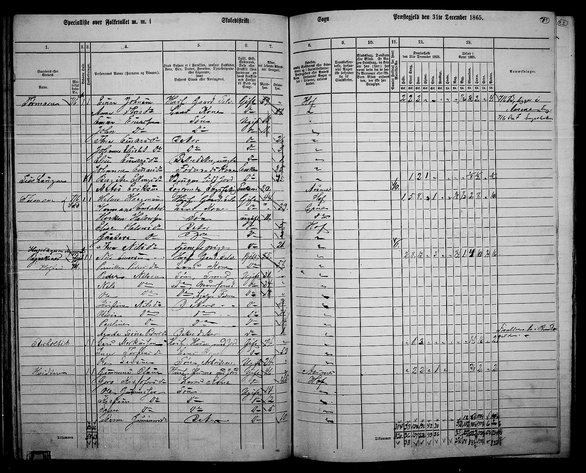 RA, 1865 census for Hof, 1865, p. 75