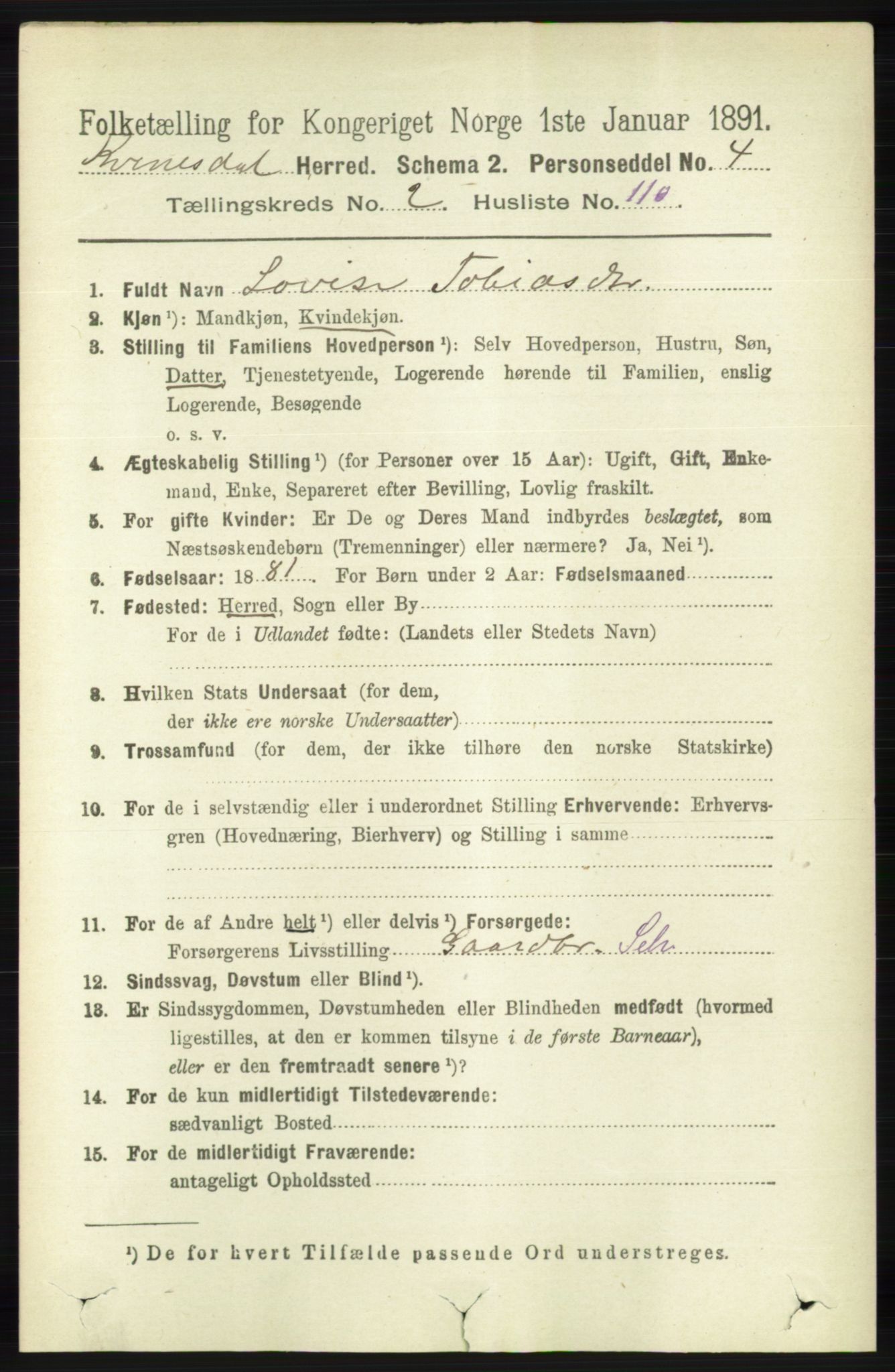 RA, 1891 census for 1037 Kvinesdal, 1891, p. 947