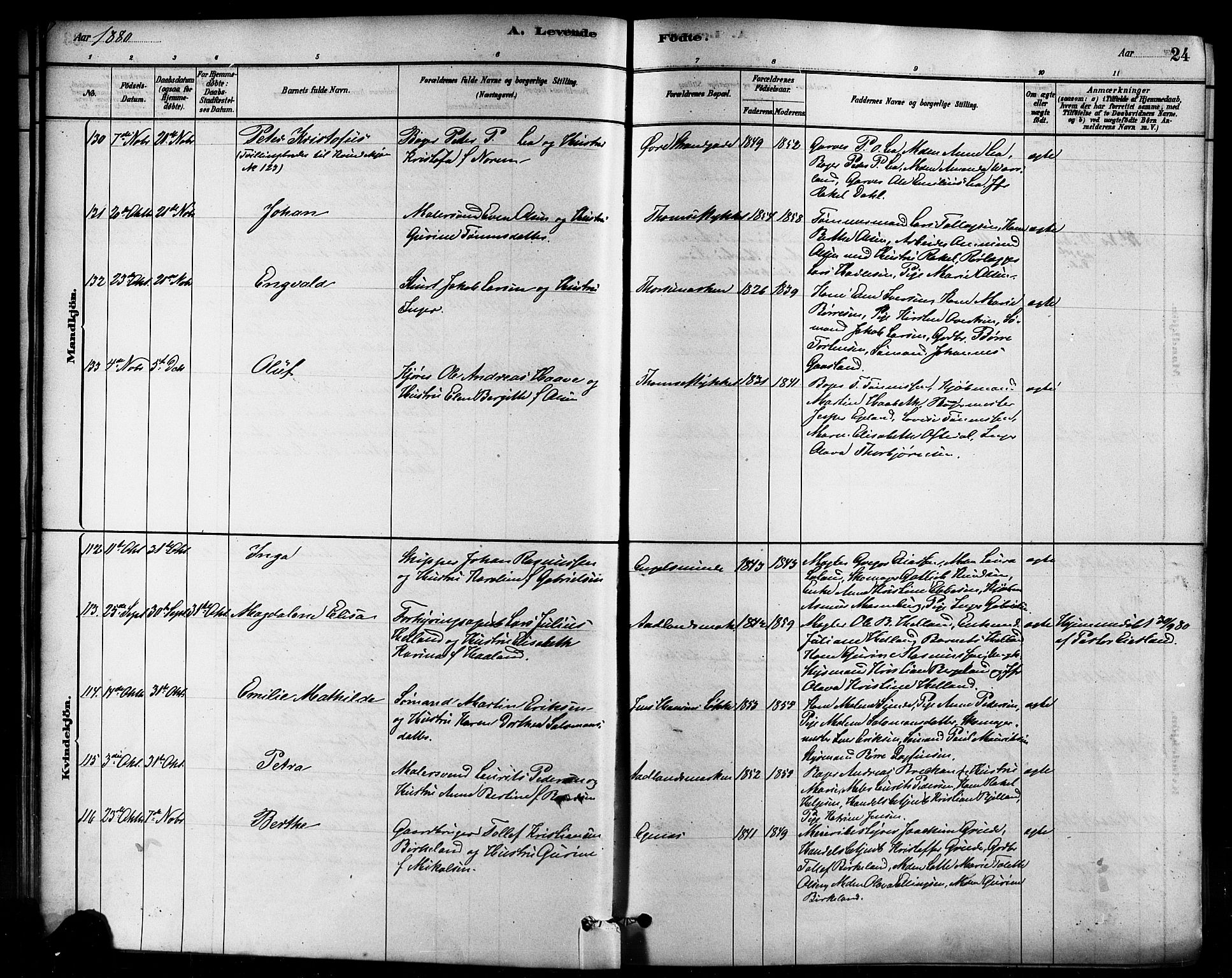 Domkirken sokneprestkontor, AV/SAST-A-101812/001/30/30BB/L0015: Parish register (copy) no. B 15, 1880-1891, p. 24