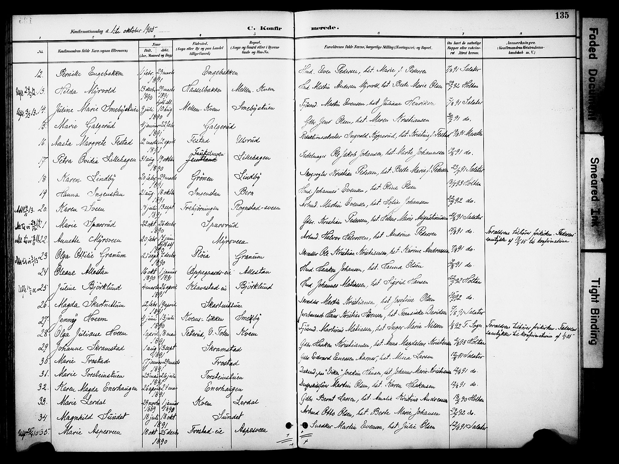 Østre Toten prestekontor, AV/SAH-PREST-104/H/Ha/Haa/L0009: Parish register (official) no. 9, 1897-1913, p. 135