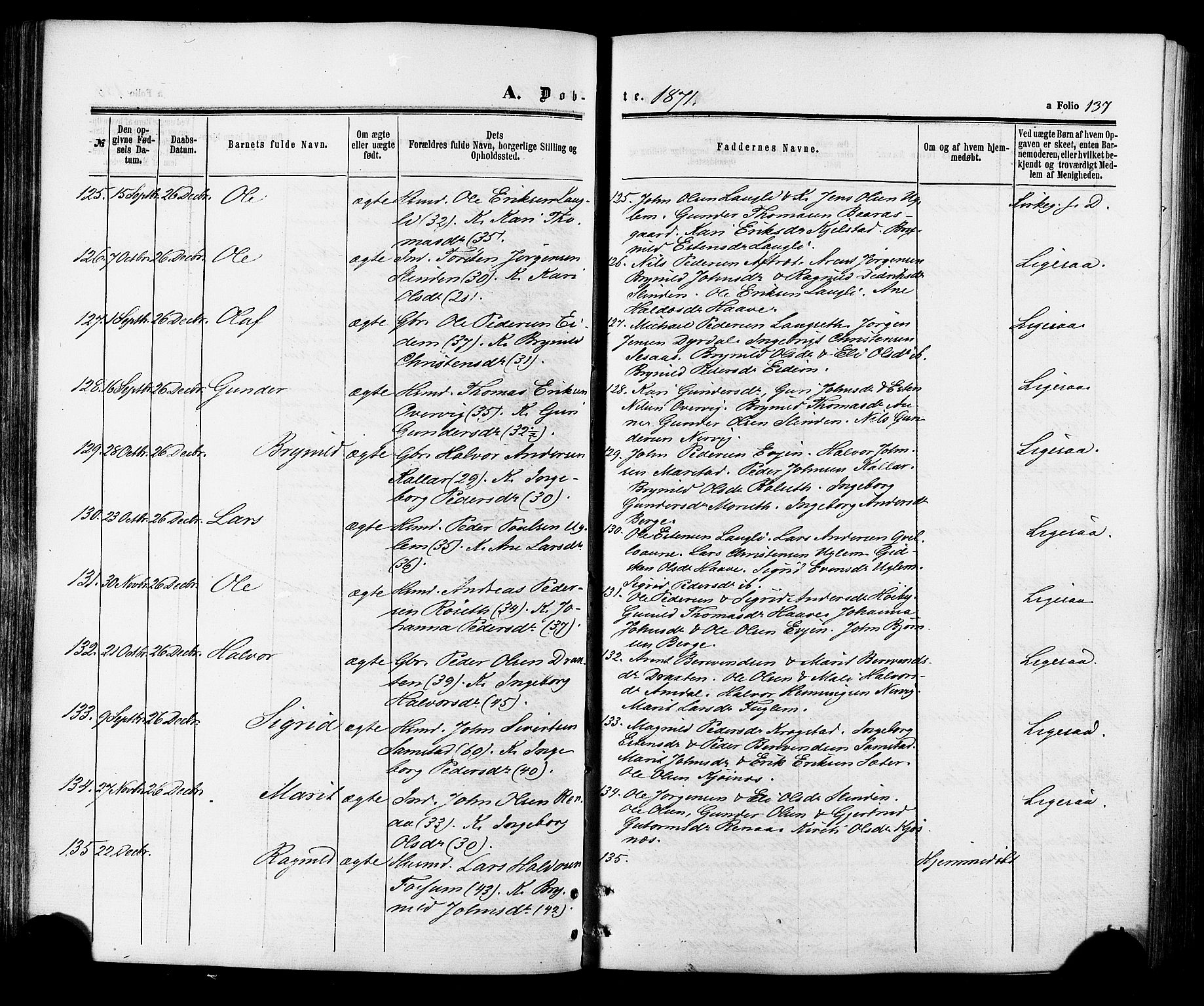 Ministerialprotokoller, klokkerbøker og fødselsregistre - Sør-Trøndelag, SAT/A-1456/695/L1147: Parish register (official) no. 695A07, 1860-1877, p. 137