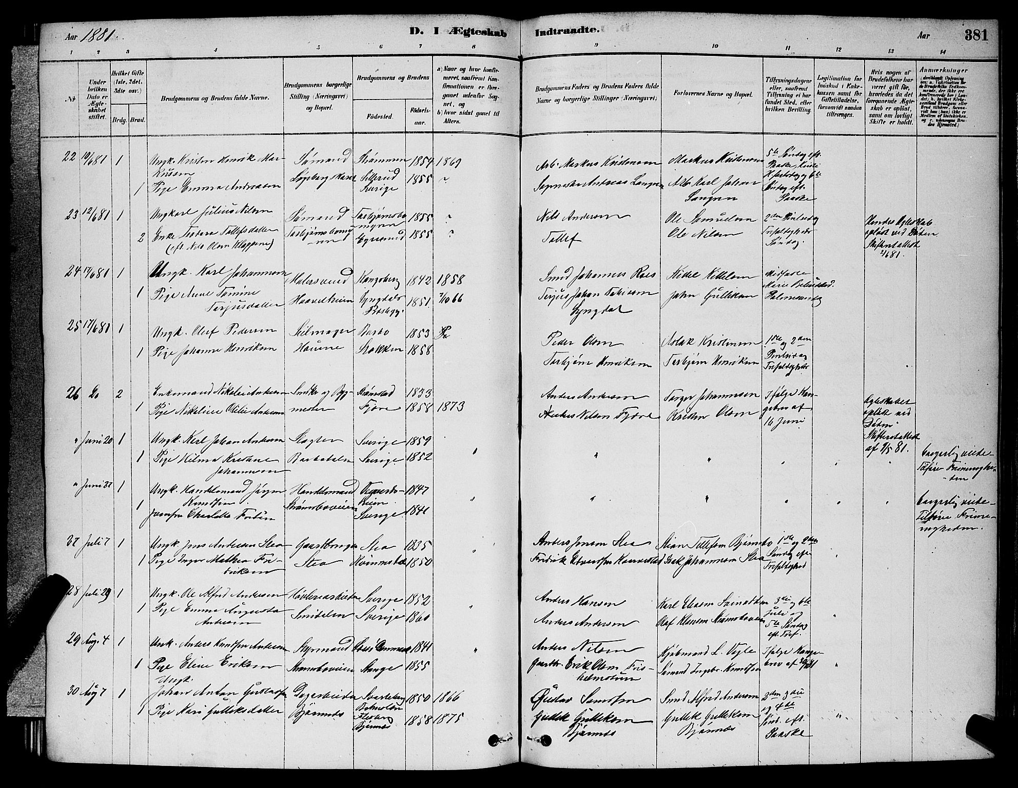 Barbu sokneprestkontor, AV/SAK-1111-0003/F/Fb/L0001: Parish register (copy) no. B 1, 1878-1890, p. 381