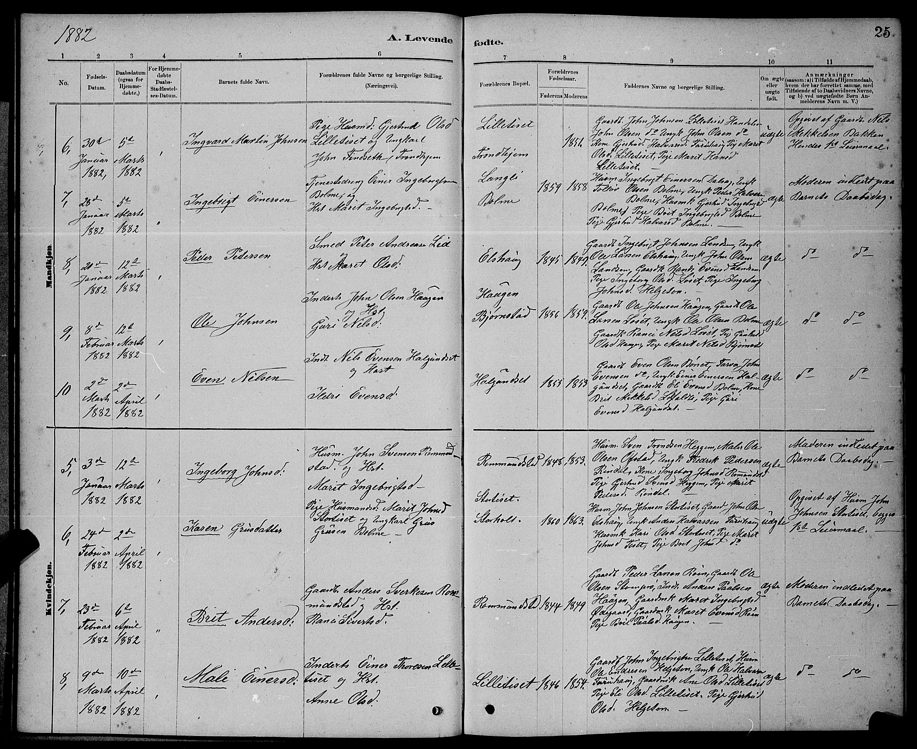 Ministerialprotokoller, klokkerbøker og fødselsregistre - Møre og Romsdal, SAT/A-1454/598/L1077: Parish register (copy) no. 598C02, 1879-1891, p. 25