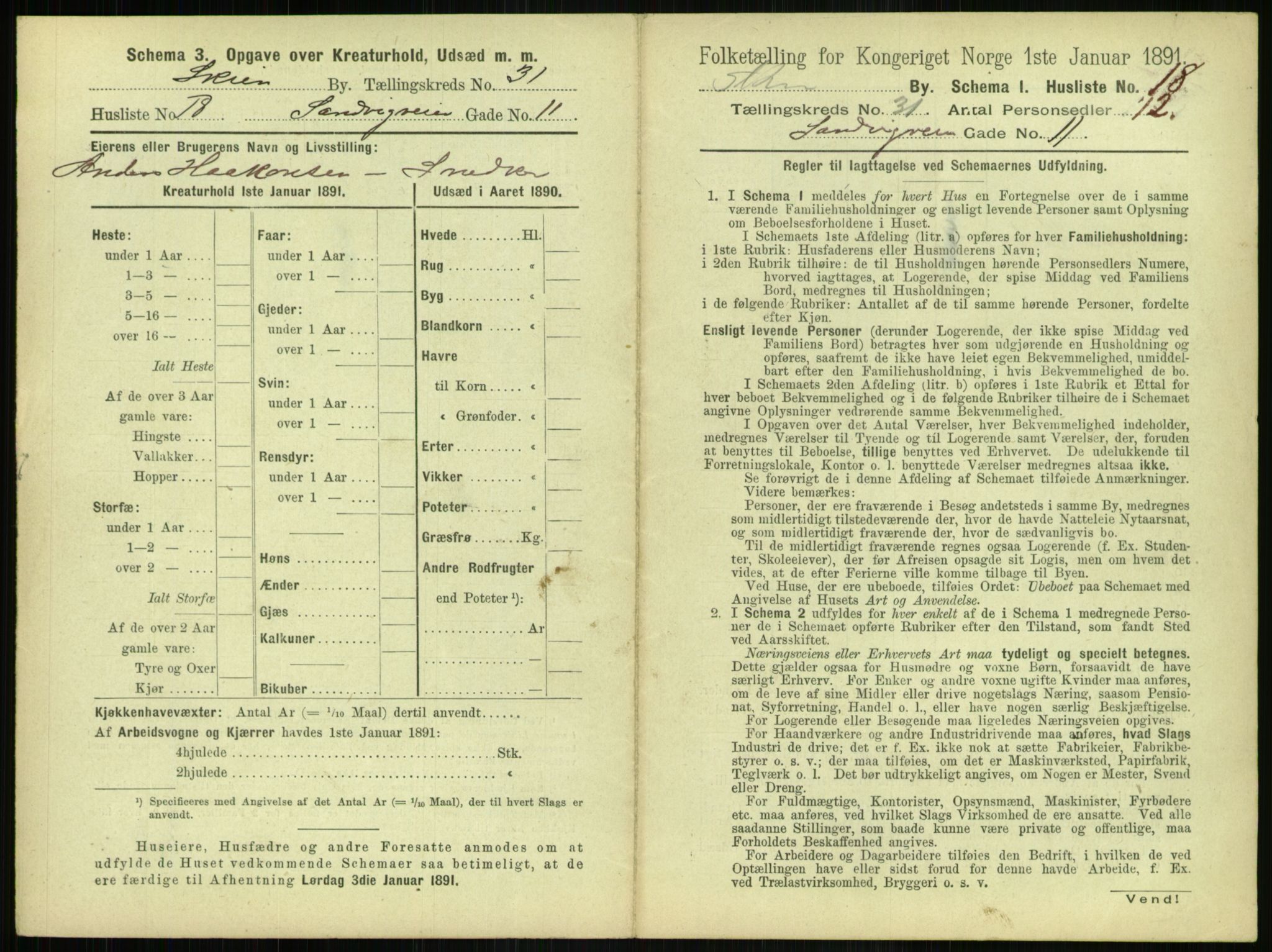 RA, 1891 census for 0806 Skien, 1891, p. 1204