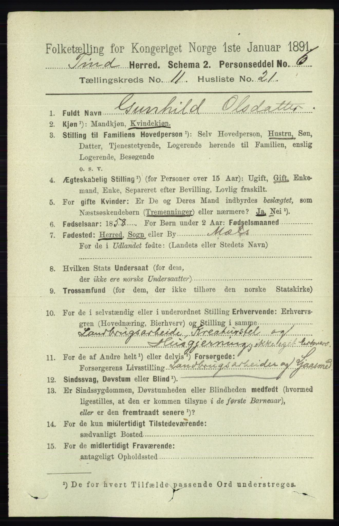 RA, 1891 census for 0826 Tinn, 1891, p. 2230