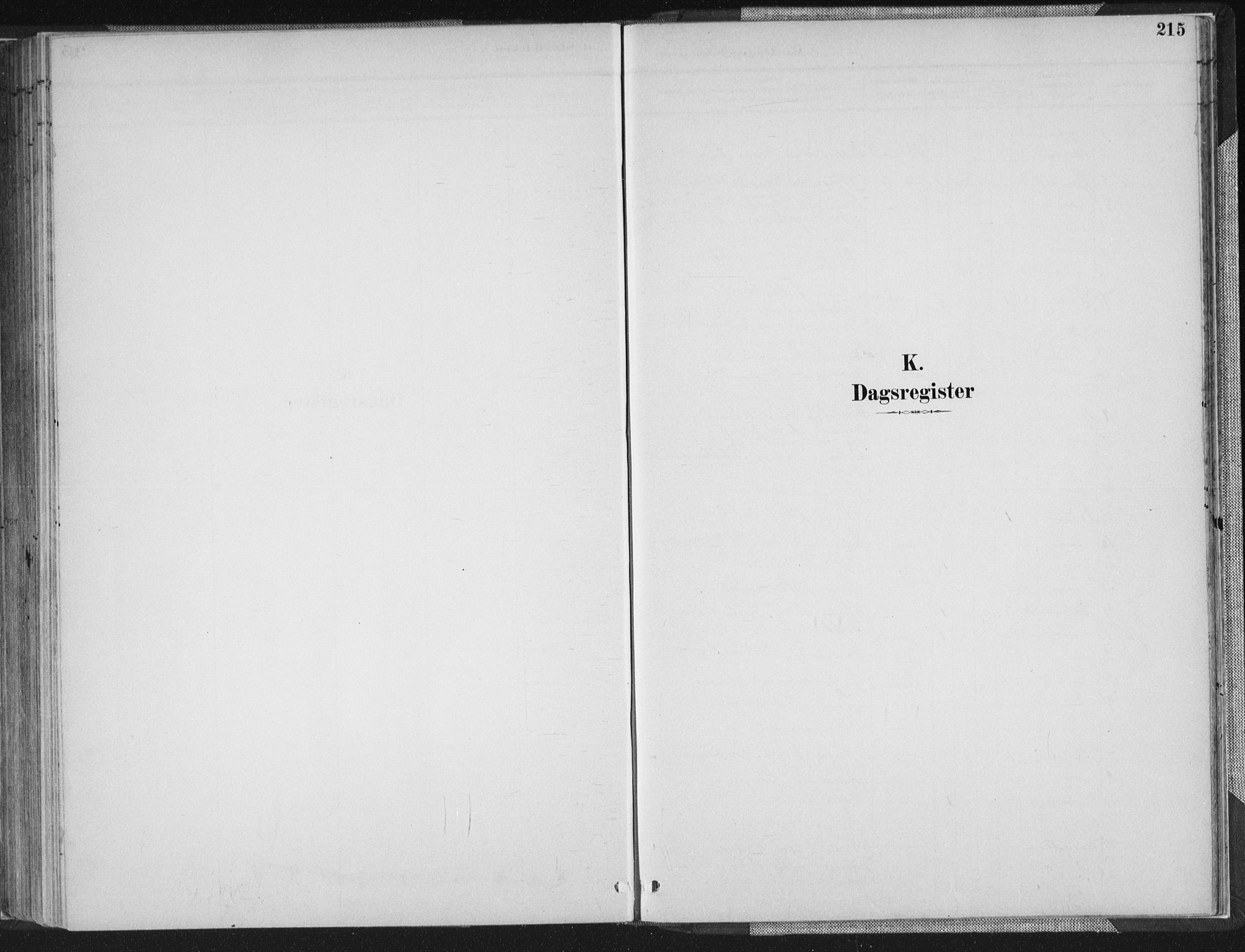 Sør-Audnedal sokneprestkontor, SAK/1111-0039/F/Fa/Faa/L0004: Parish register (official) no. A 4, 1884-1909, p. 215