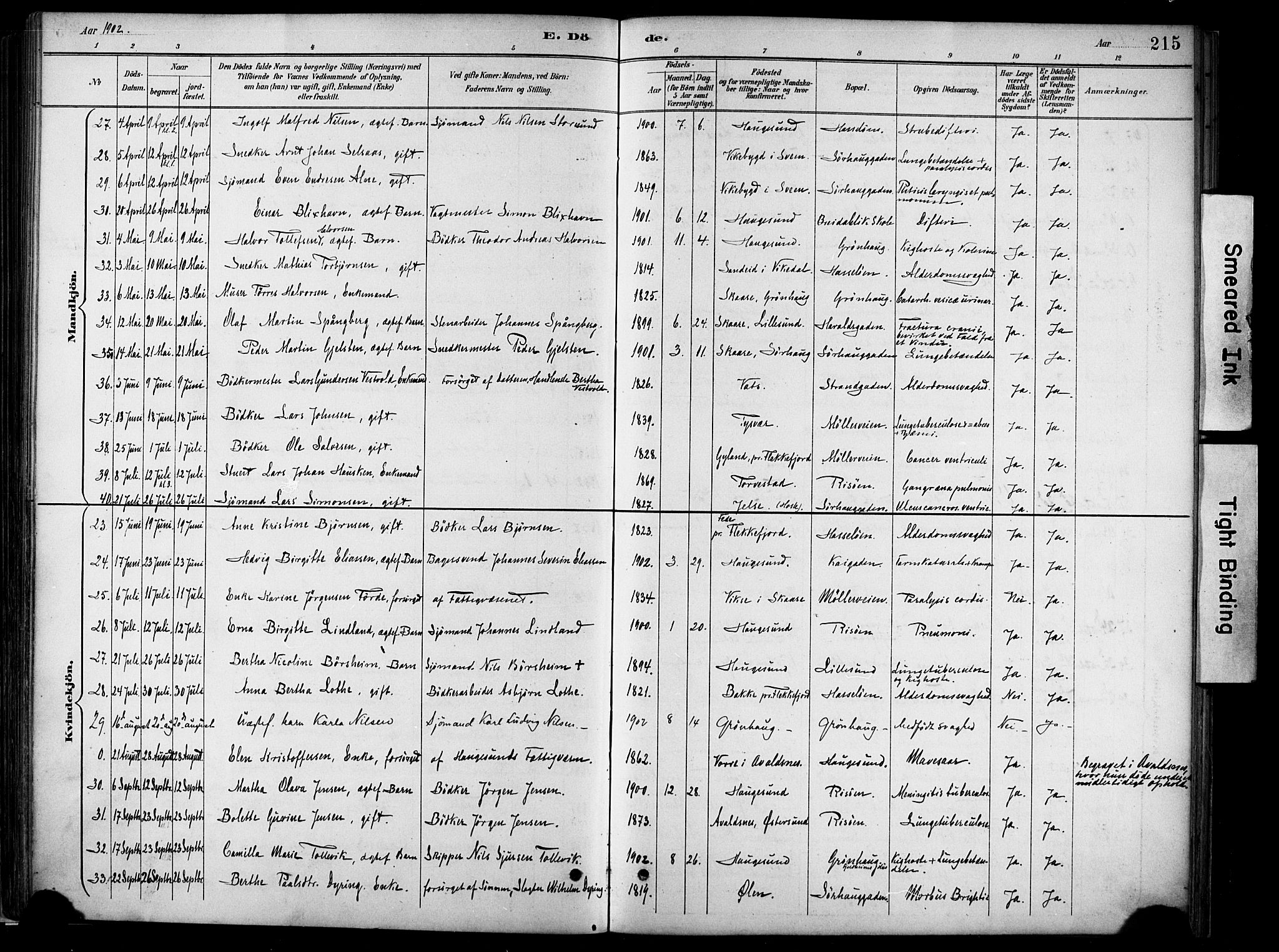 Haugesund sokneprestkontor, SAST/A -101863/H/Ha/Haa/L0005: Parish register (official) no. A 5, 1891-1903, p. 215